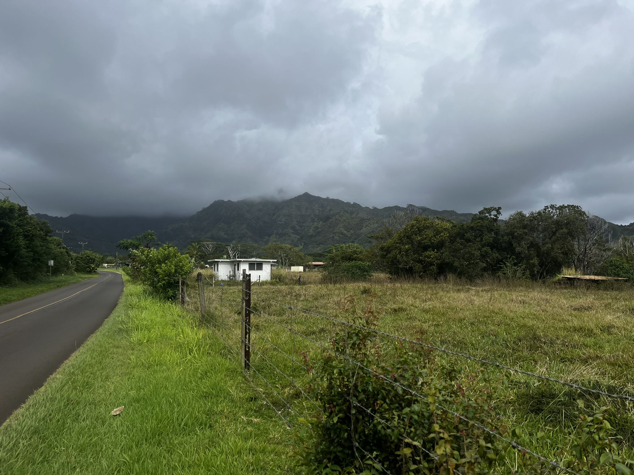 Rural road beside a field with distant misty mountains under a cloudy sky. - Waipouli Beach Park to to Makaleha Falls trailhead