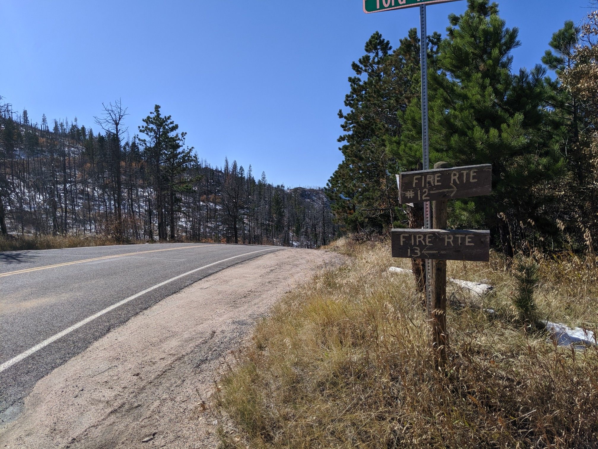Roadside signs next to an asphalt road, with a forest and clear sky. - White Rock loop from Stove Prairie
