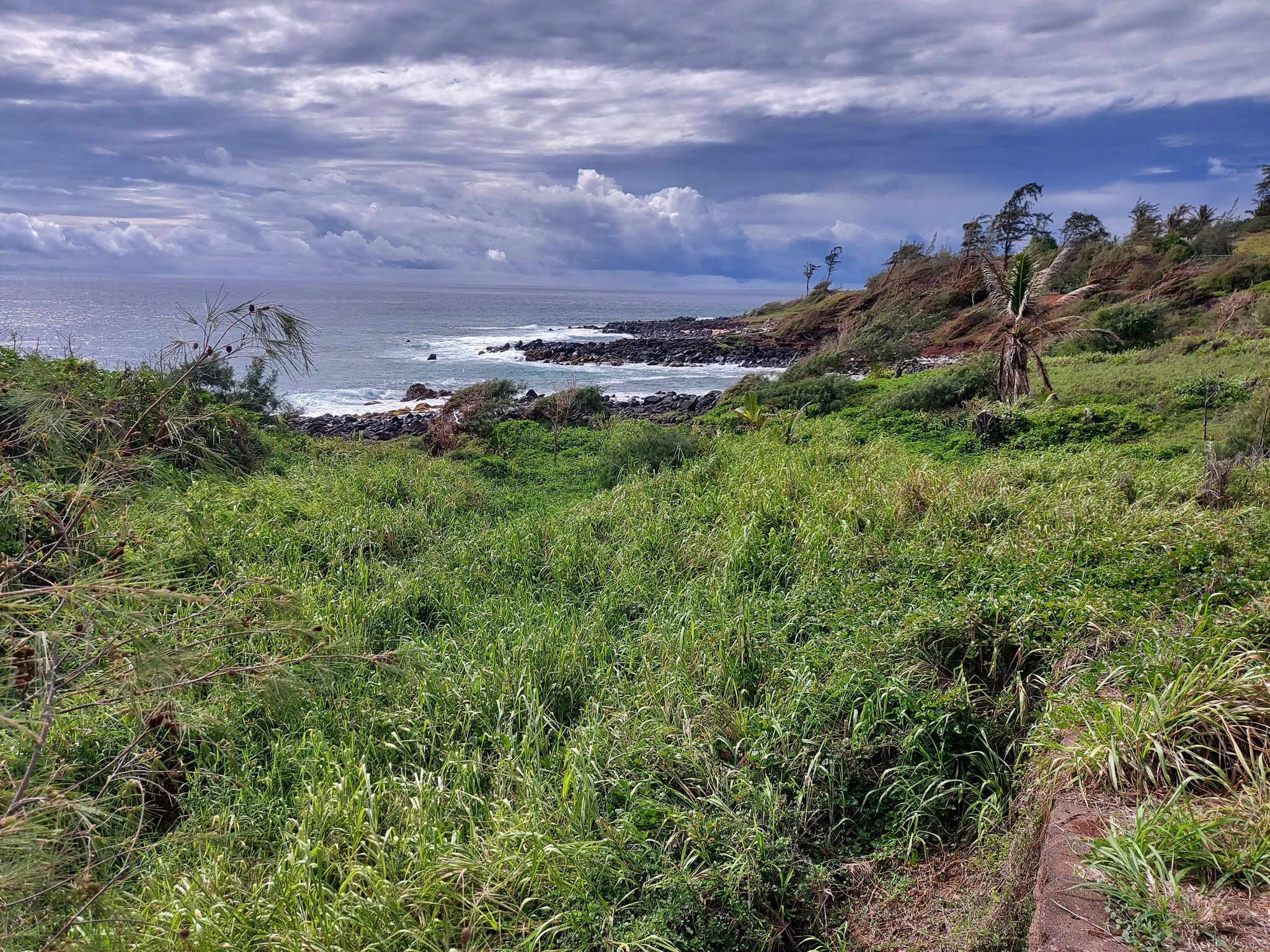 Overgrown grassy field leading to a rocky ocean shore under a dramatic sky. - Ke Ala Hele Makalae