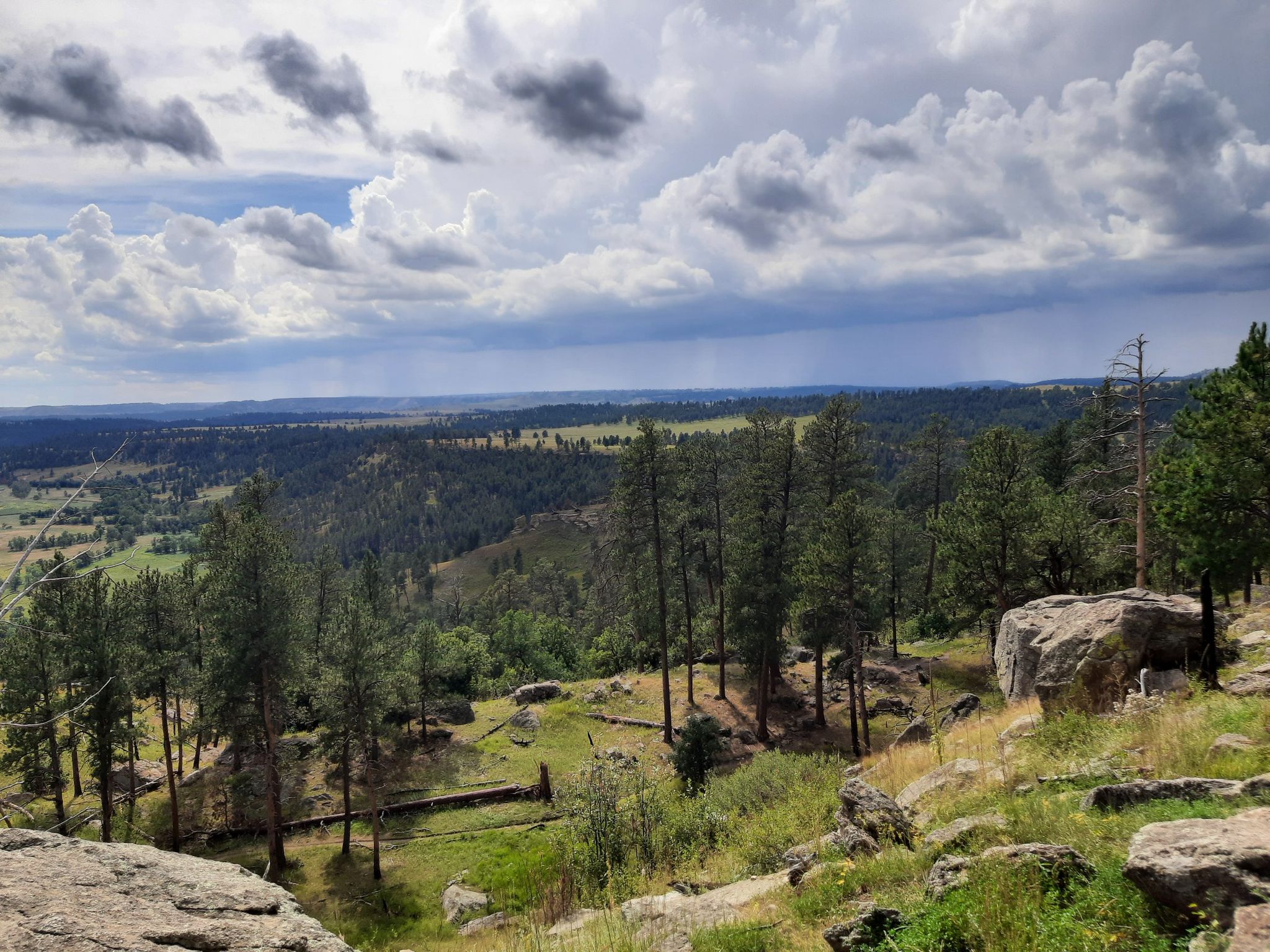 Expansive view of a forested valley and distant hills under a cloudy sky. - Tower Trail