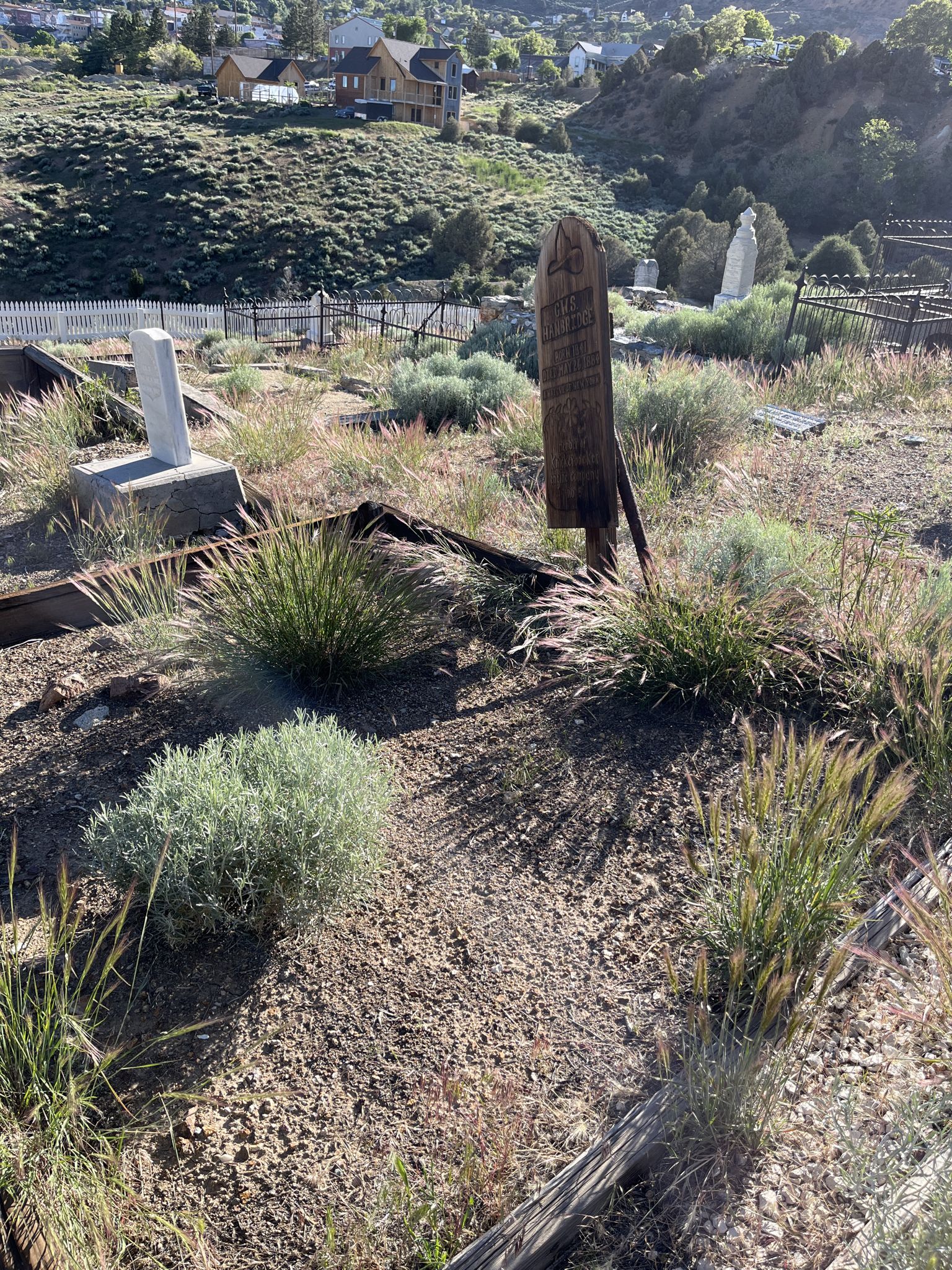 Overgrown hillside cemetery with weathered gravestones under bright daylight, houses in background. - Silver Terrace Historic Cemeteries Loop
