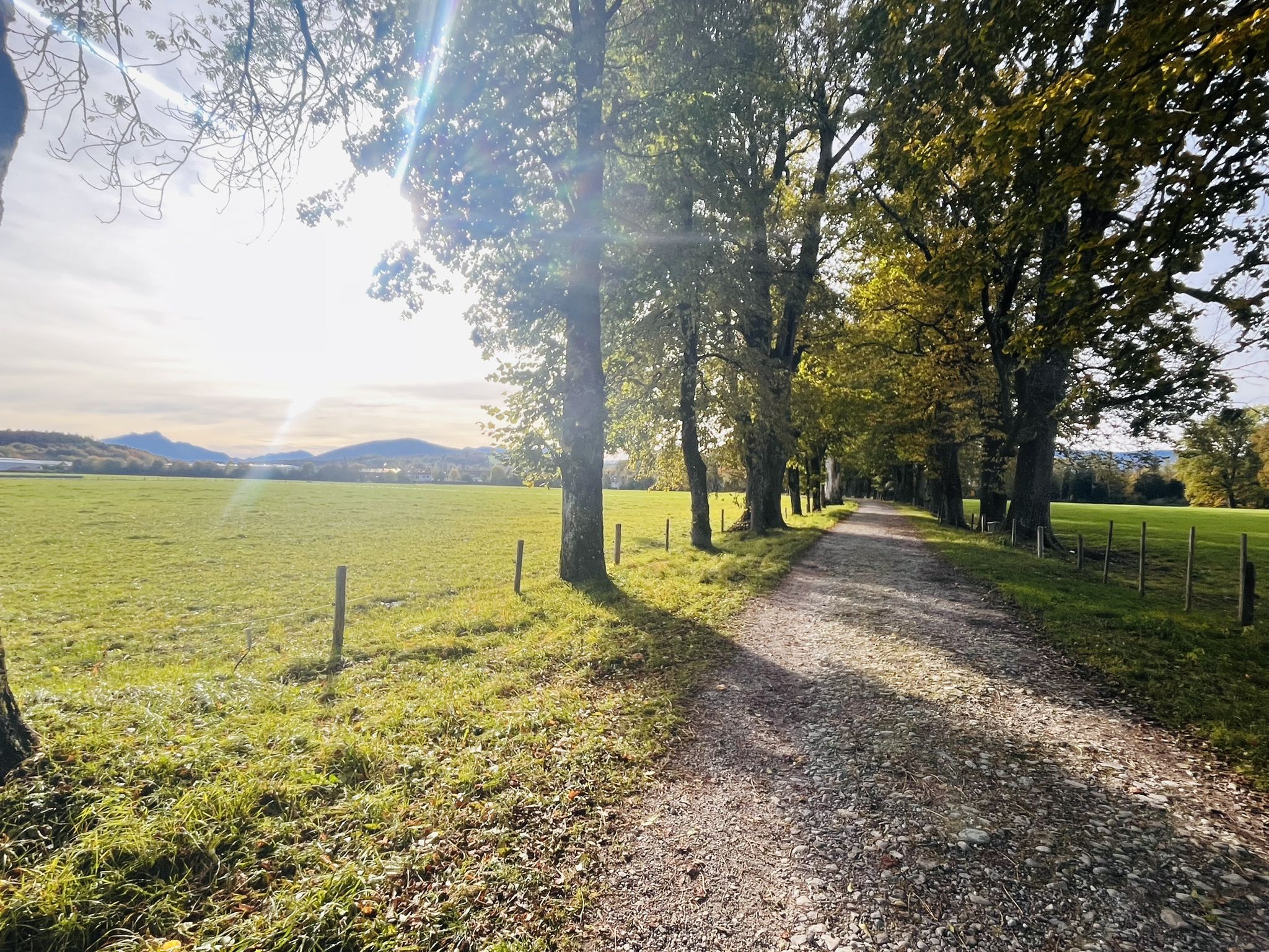 Schöner Höhenweg von Miesbach