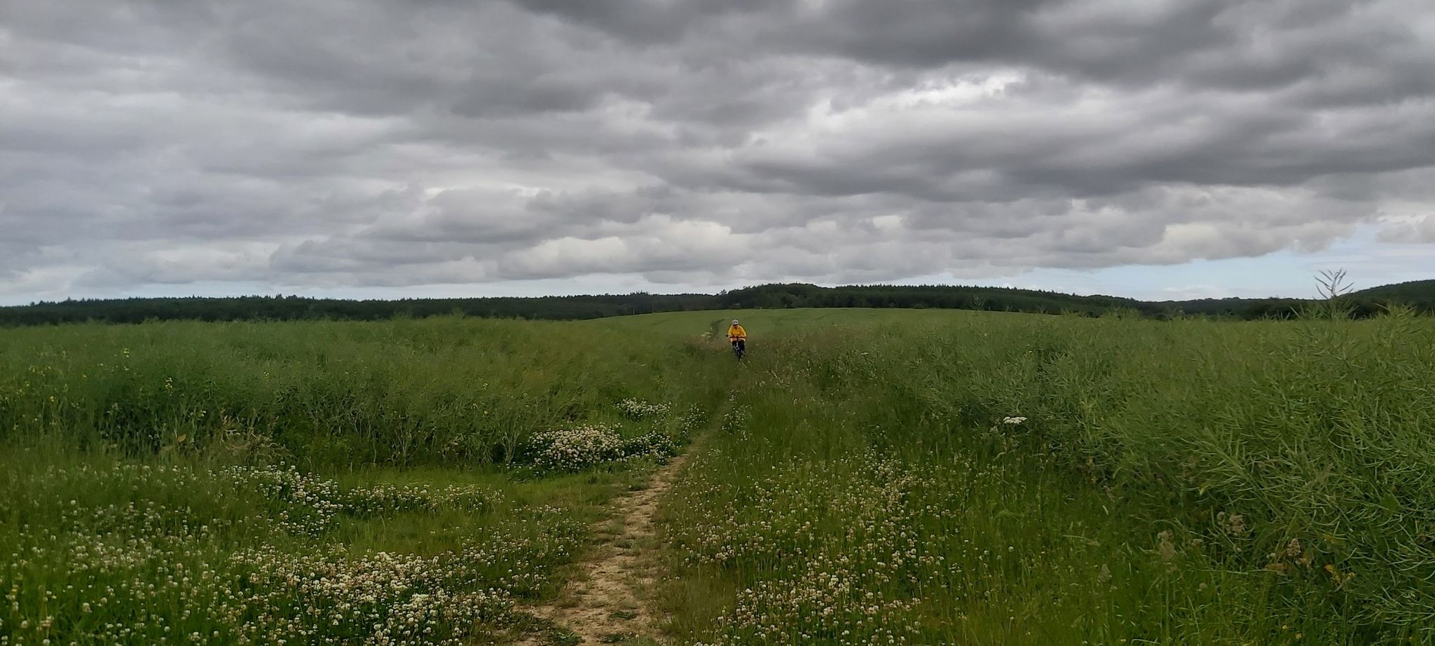 Through the fields!