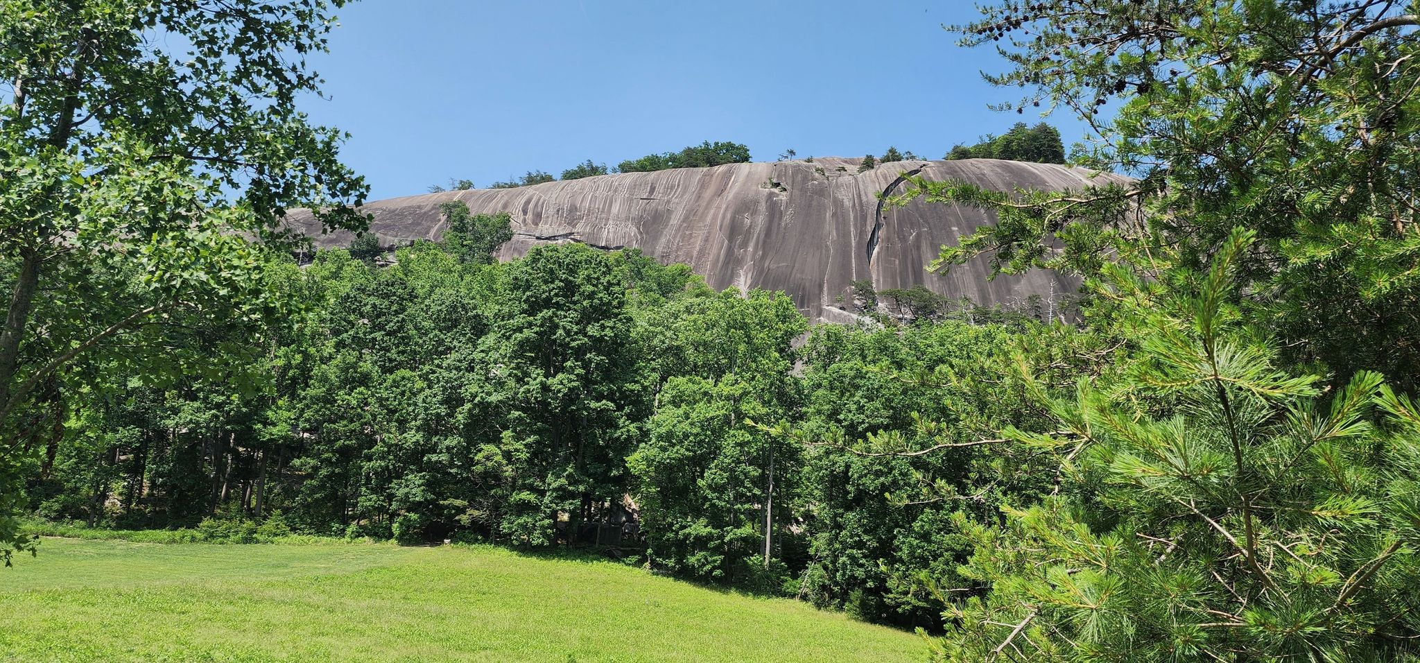 Towering gray rock face rises above a dense green forest on a sunny day. - Stone Mountain Loop Trail