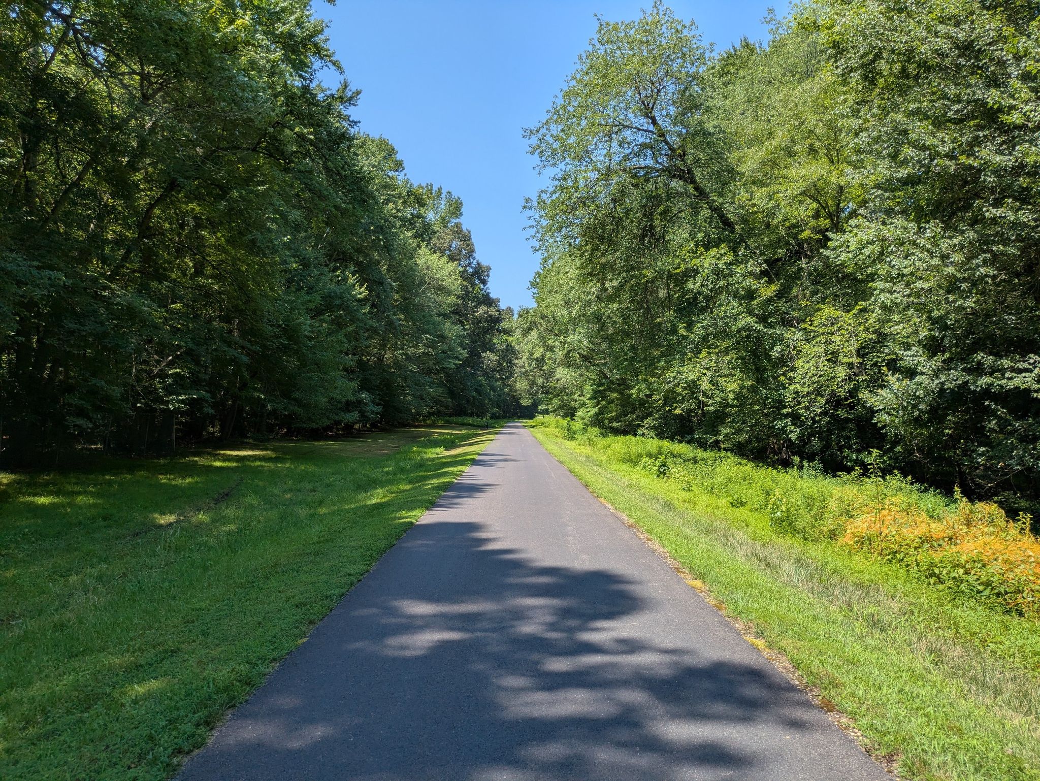 Paved path winding through a lush green forest on a sunny day. - Indian Head Rail Trail – Indian Head Rail Trail loop from Waldorf