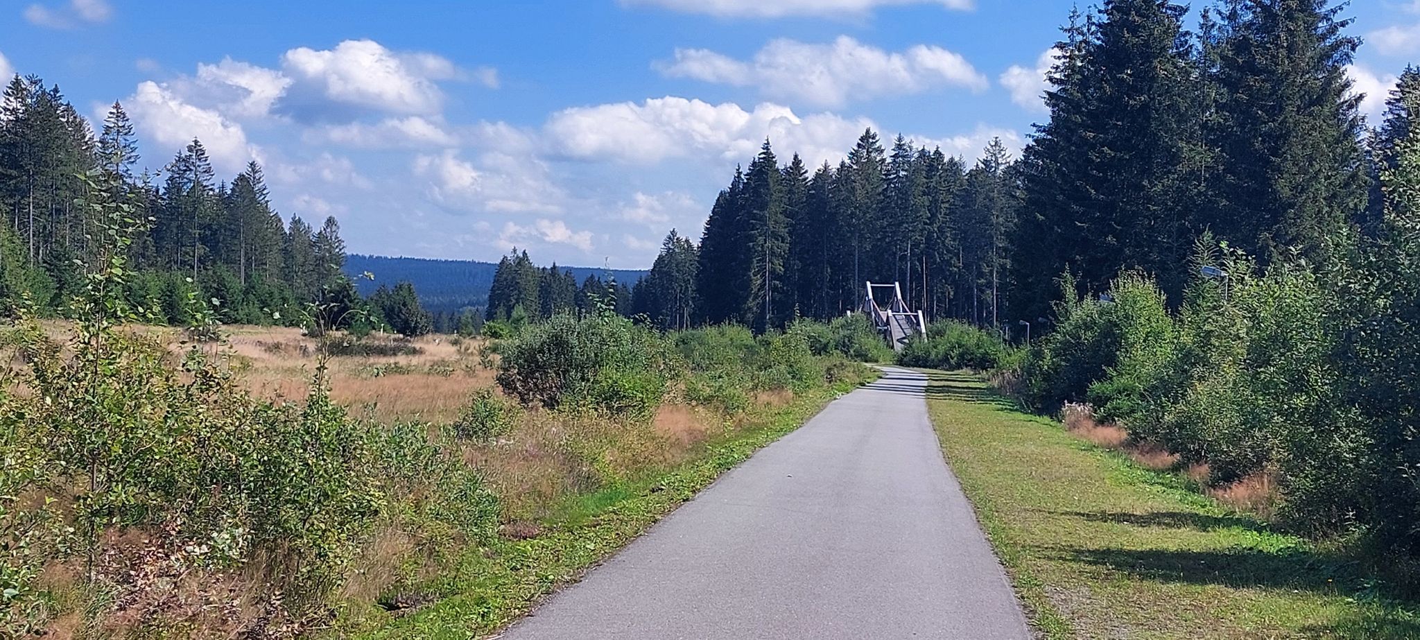 Grünbach auf der Nachtloipe