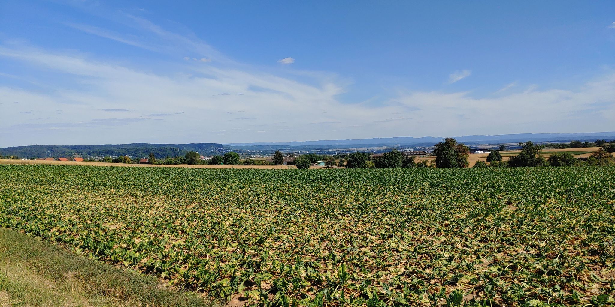 Ein toller Weitblick heute