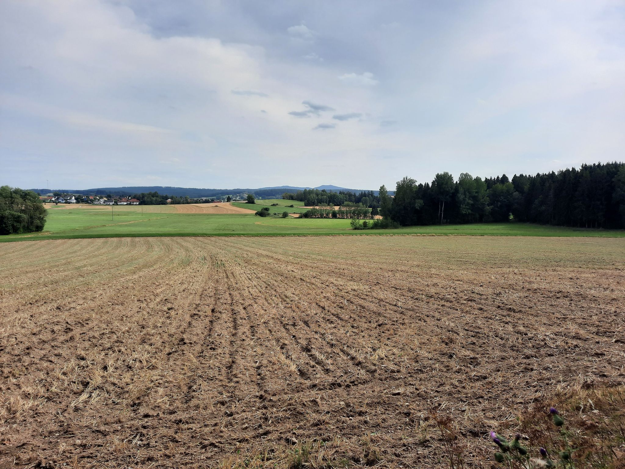 Blick nach Röslau