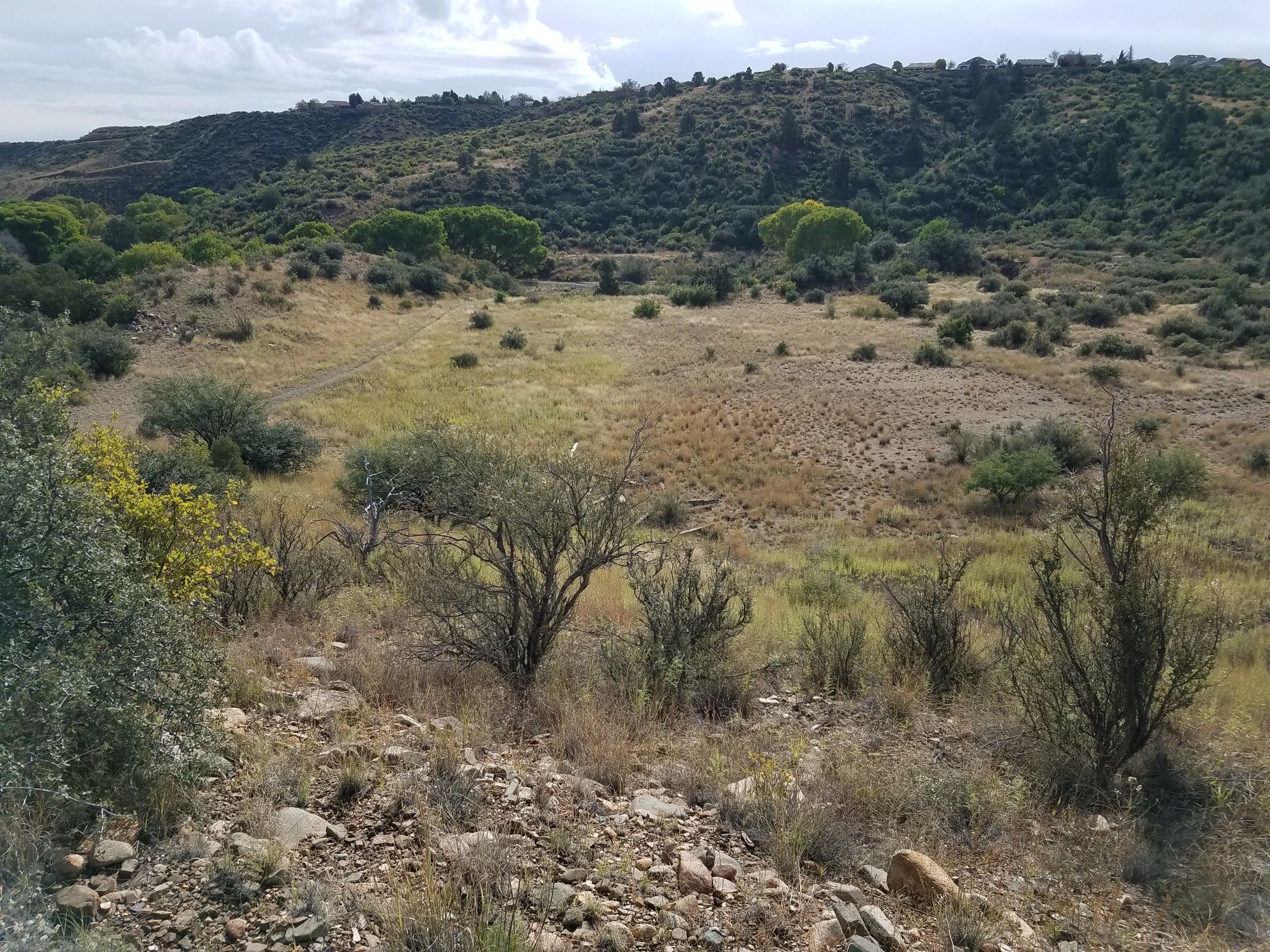 Arid valley with dry grass, scattered shrubs, and distant green hills. - Lynx Creek Loop