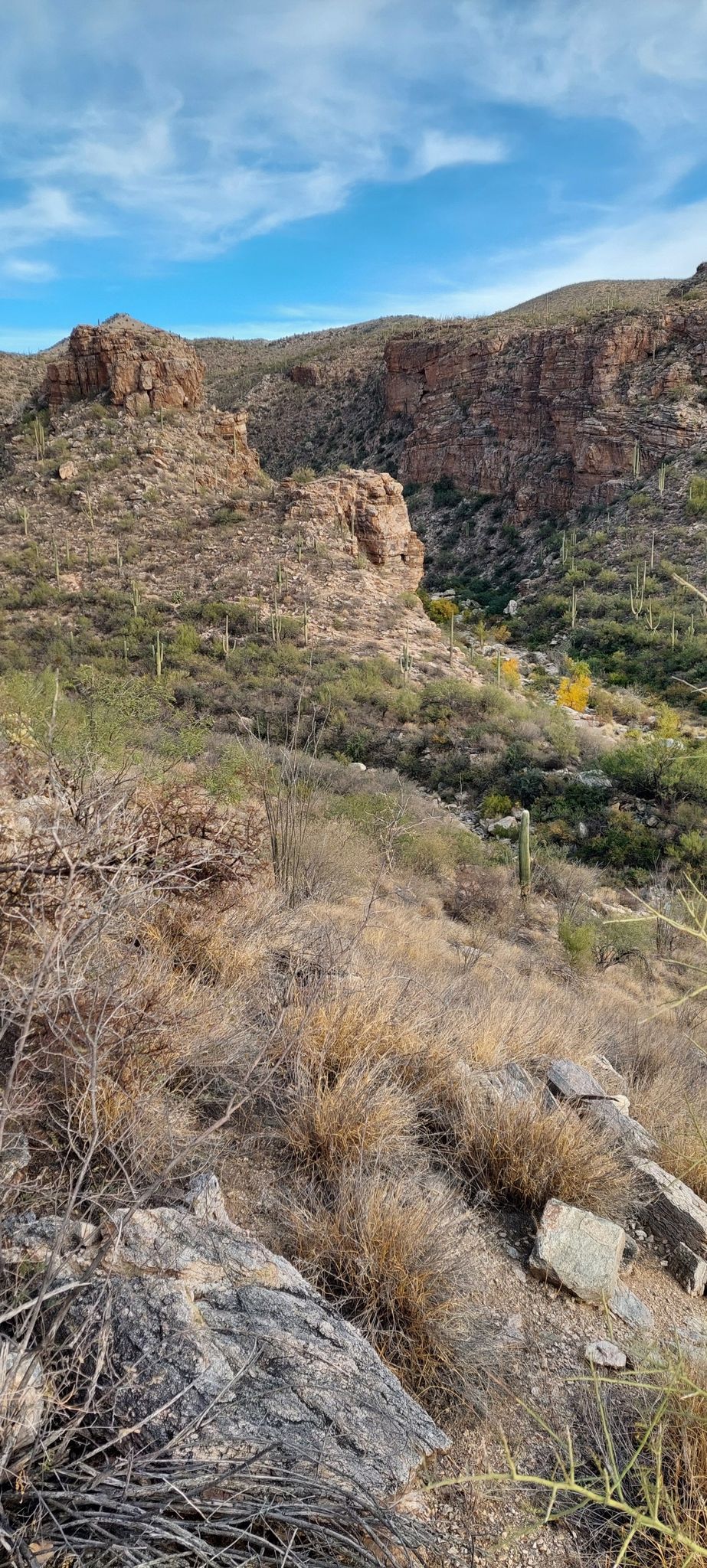 Rocky desert canyon with saguaro cacti under a bright blue sky. - Redington-Arizona Trail-La Milagrosa Loop