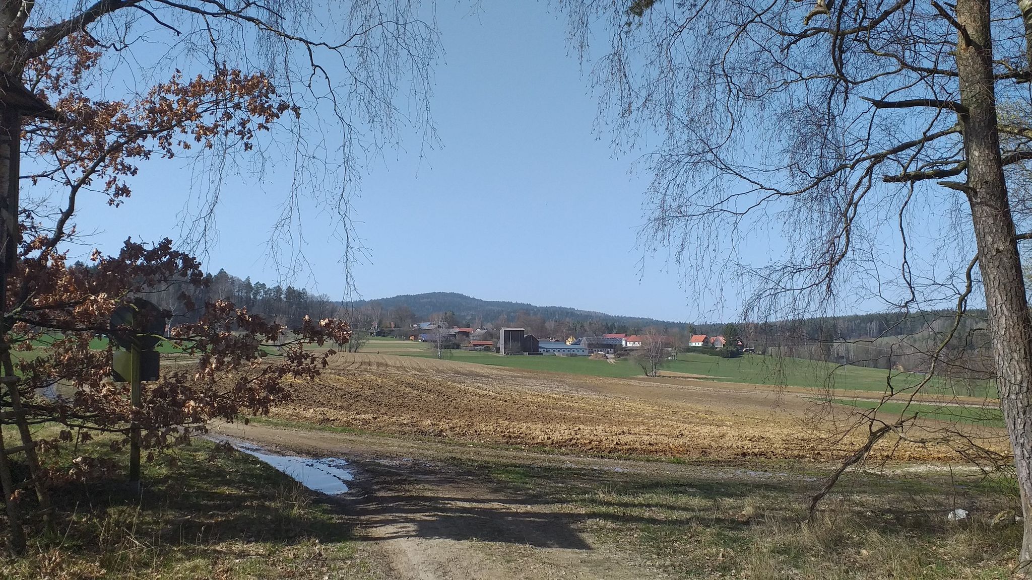 Rodenzenreuth