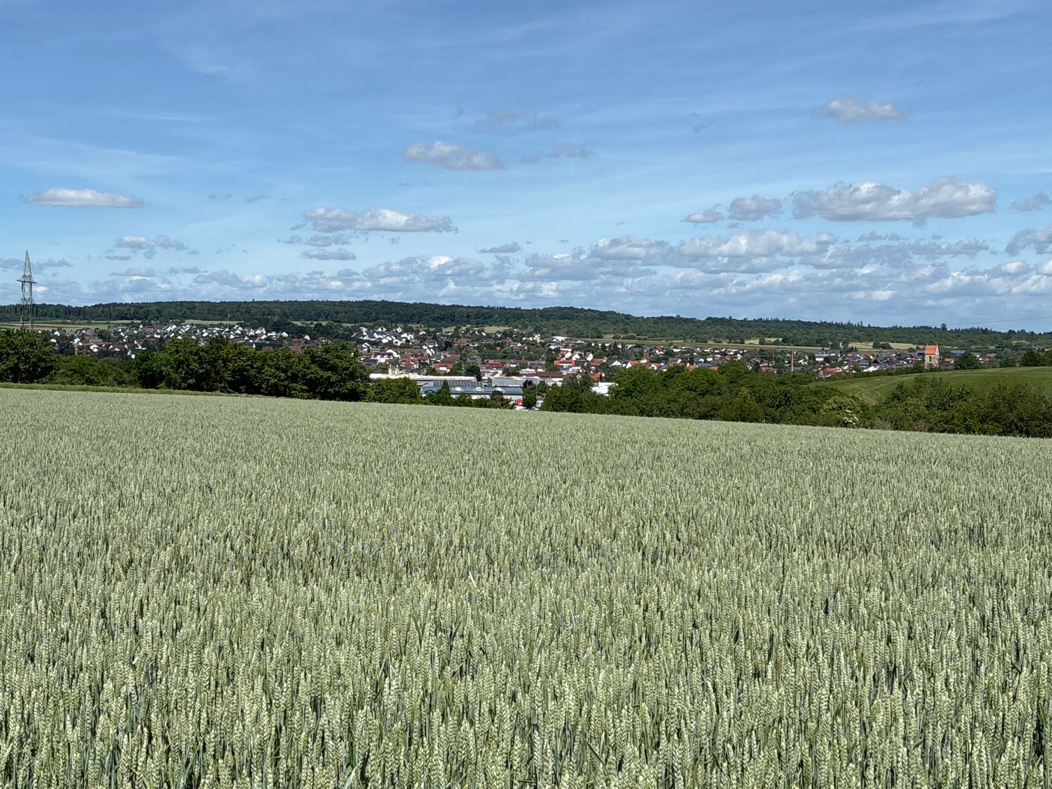Ofterdingen