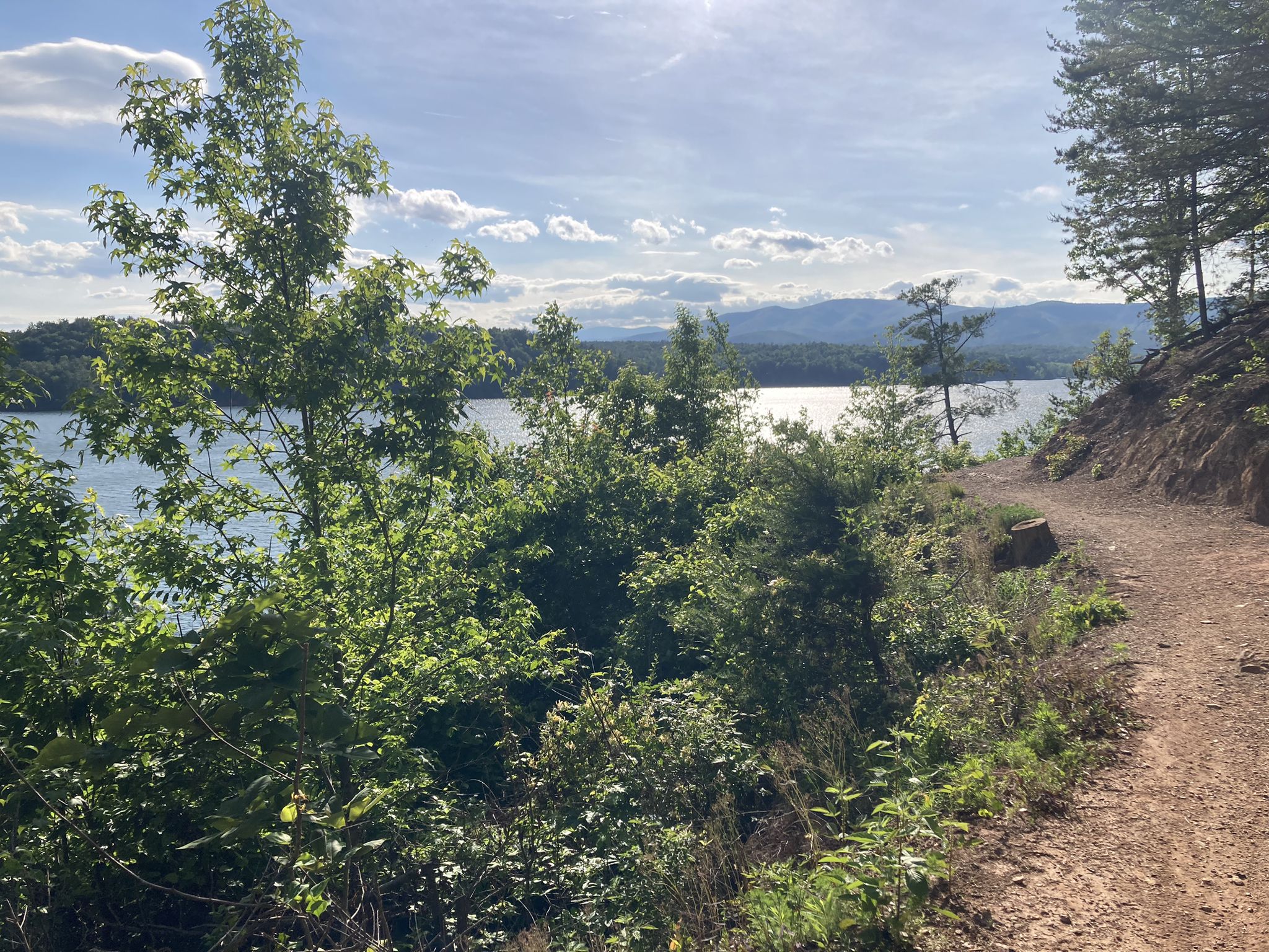 A dirt path winds alongside a sunny lake with green trees and mountains. - Fonta Flora Trail Loop