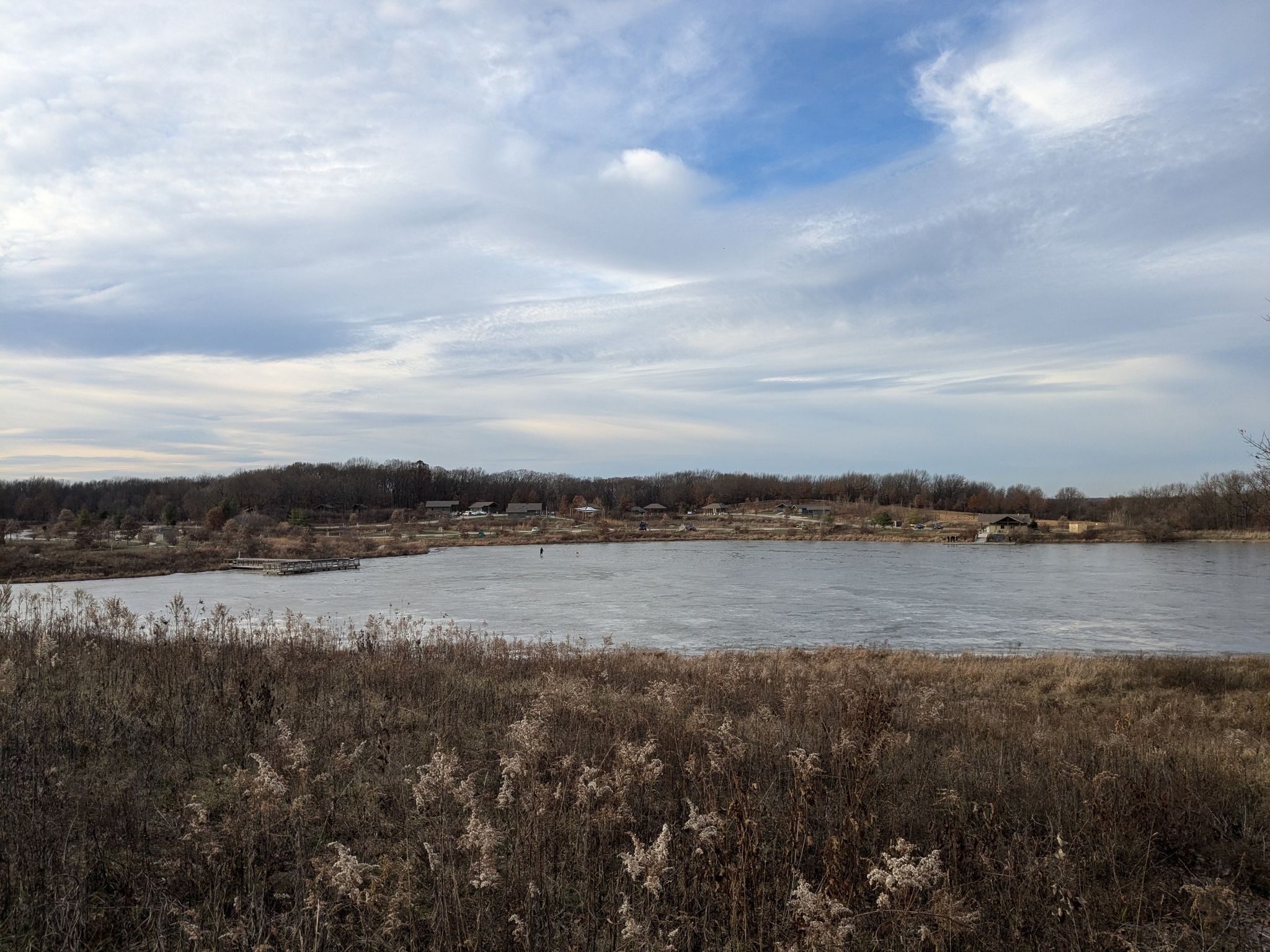 A lake with bare trees and dry reeds under a cloudy sky. - Yellow Single Track Trail