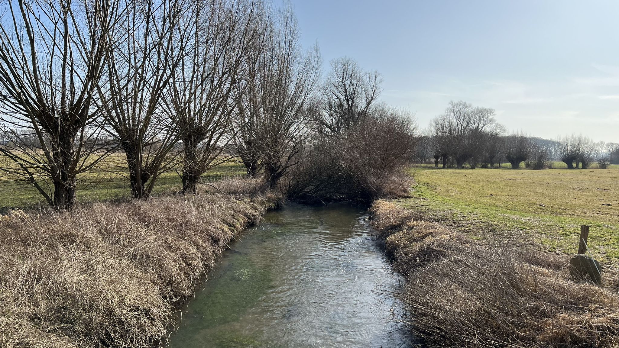 Geseker Bach im Osternheuland