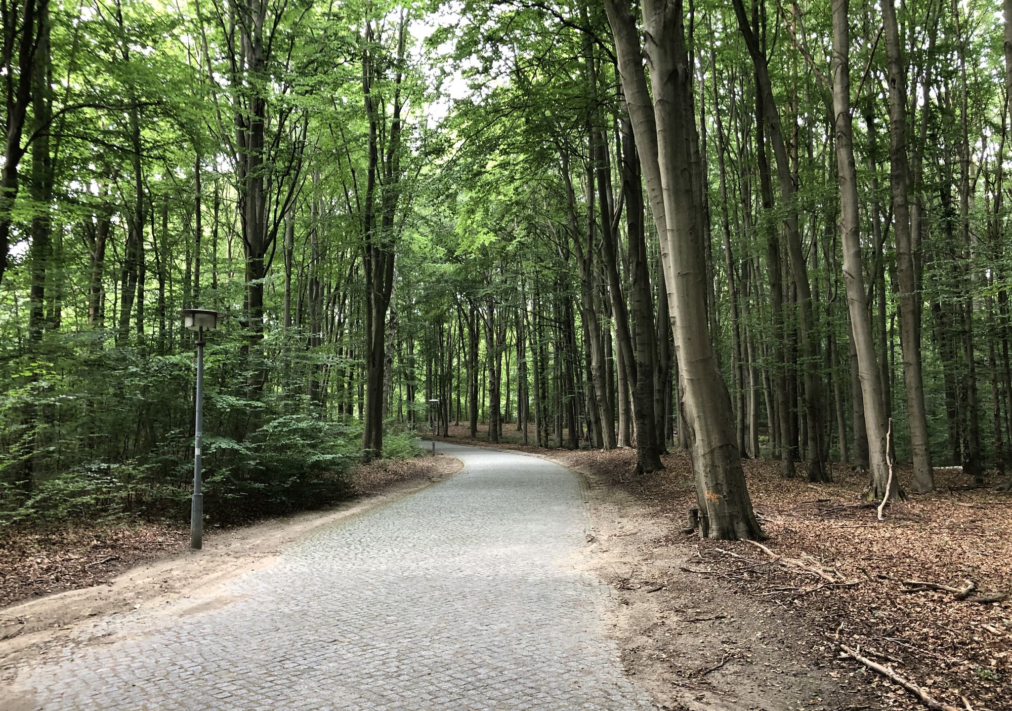 EJB Werbellinsee; früher Pionierrepublik der DDR