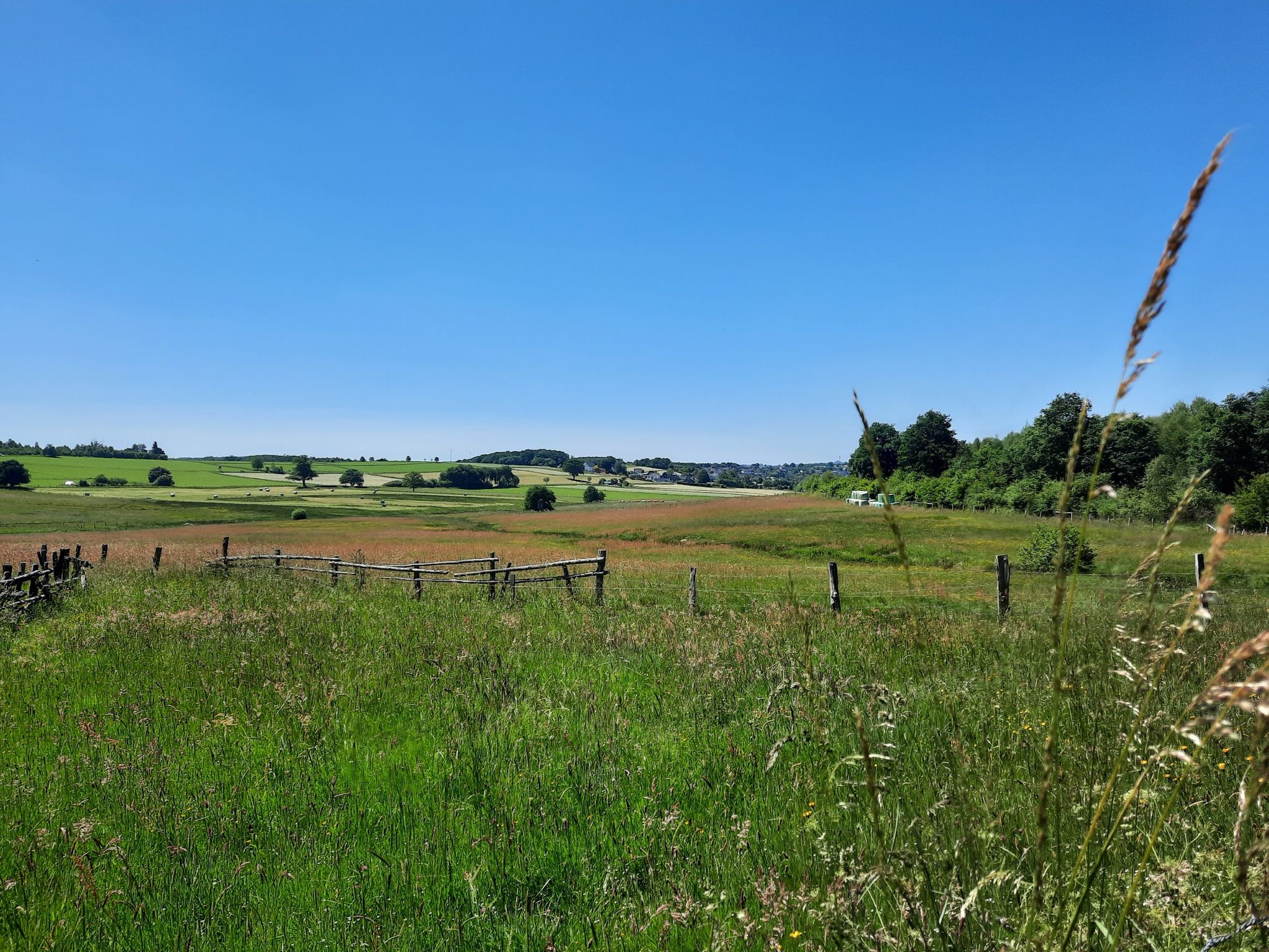 Altenwenden