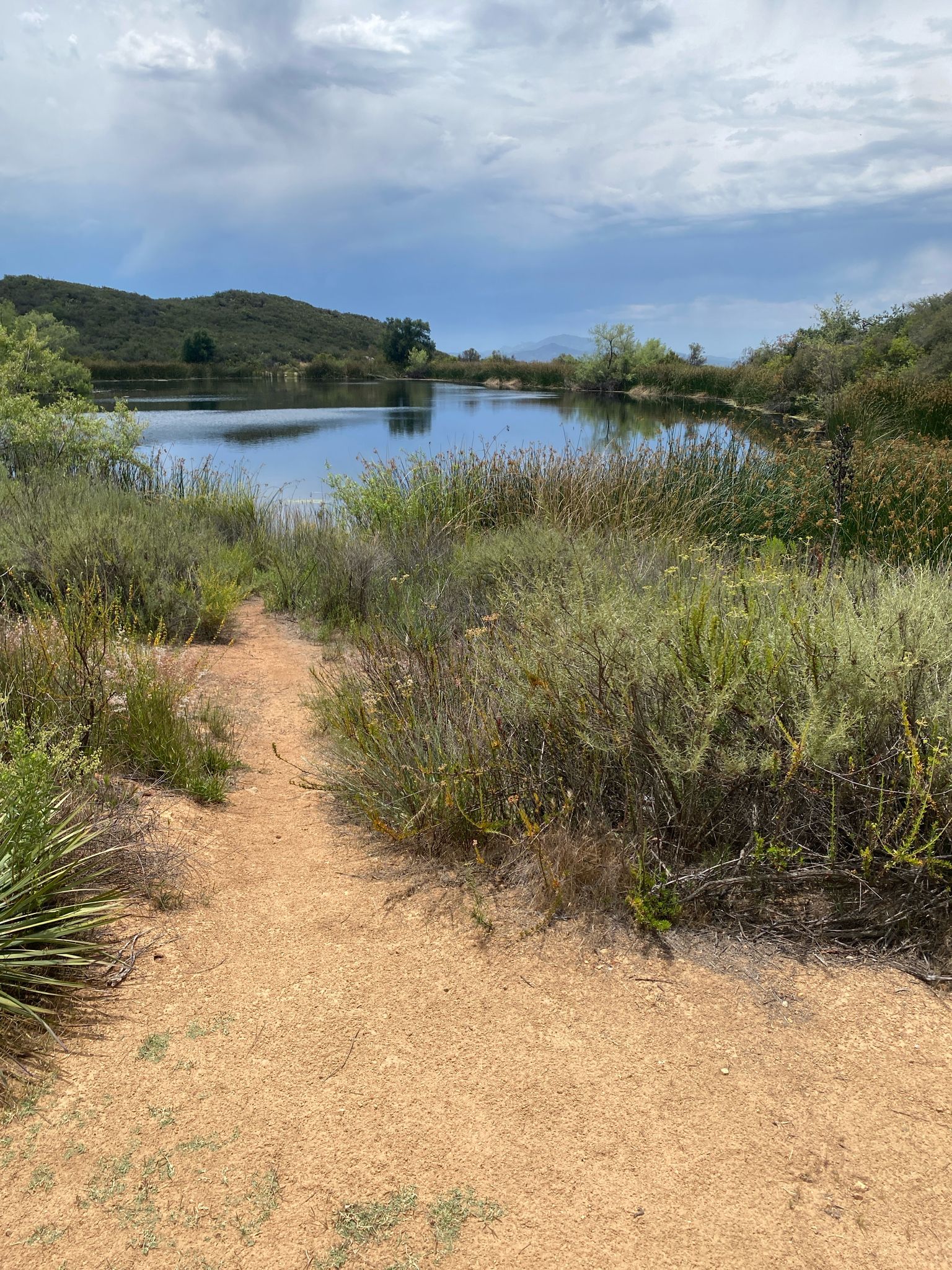 Dirt path leading to a tranquil lake surrounded by lush green vegetation. - Stanley Peak – Daley Ranch House loop from Turner 1074 Dam