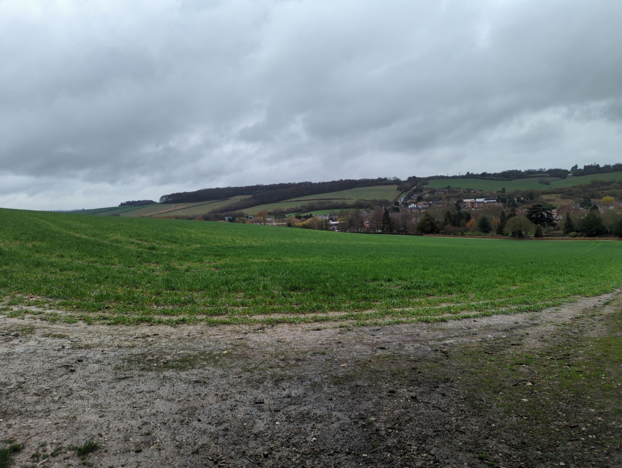view