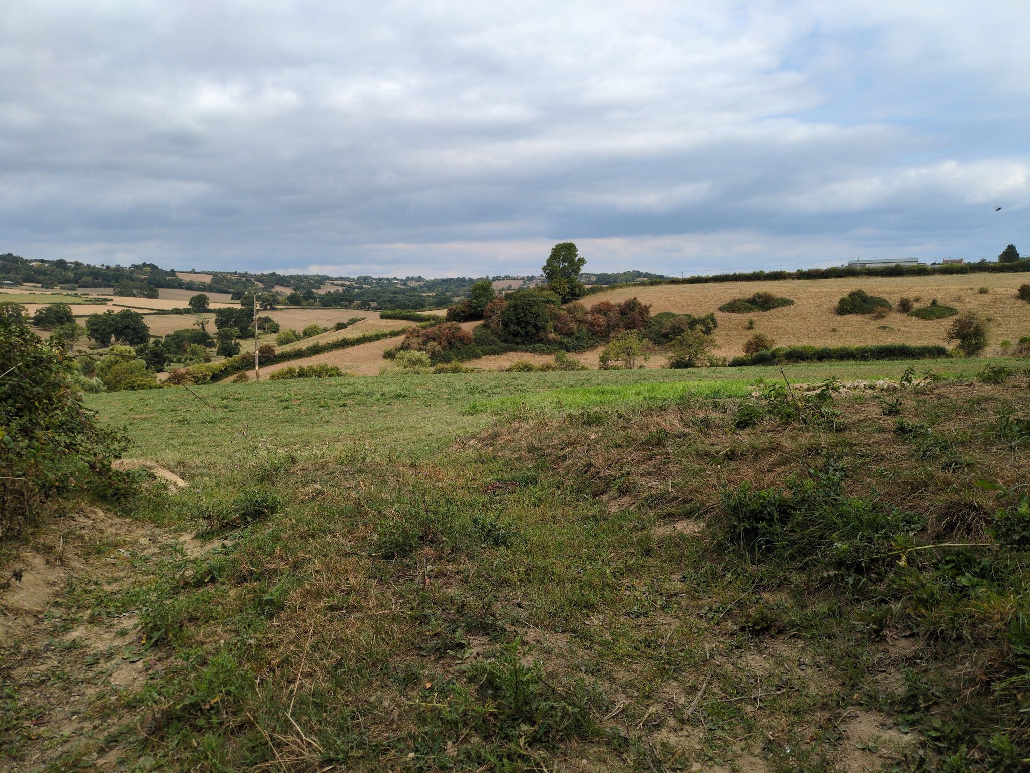 a pleasant view