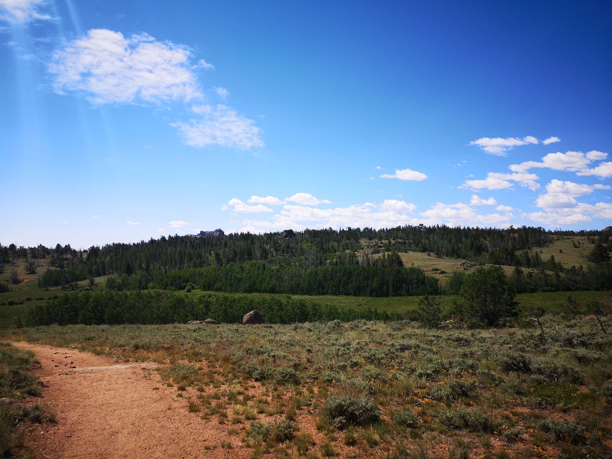 A dirt path leads through a vast field towards a distant forest under a bright sky. - Running loop from Blair Picnic Site