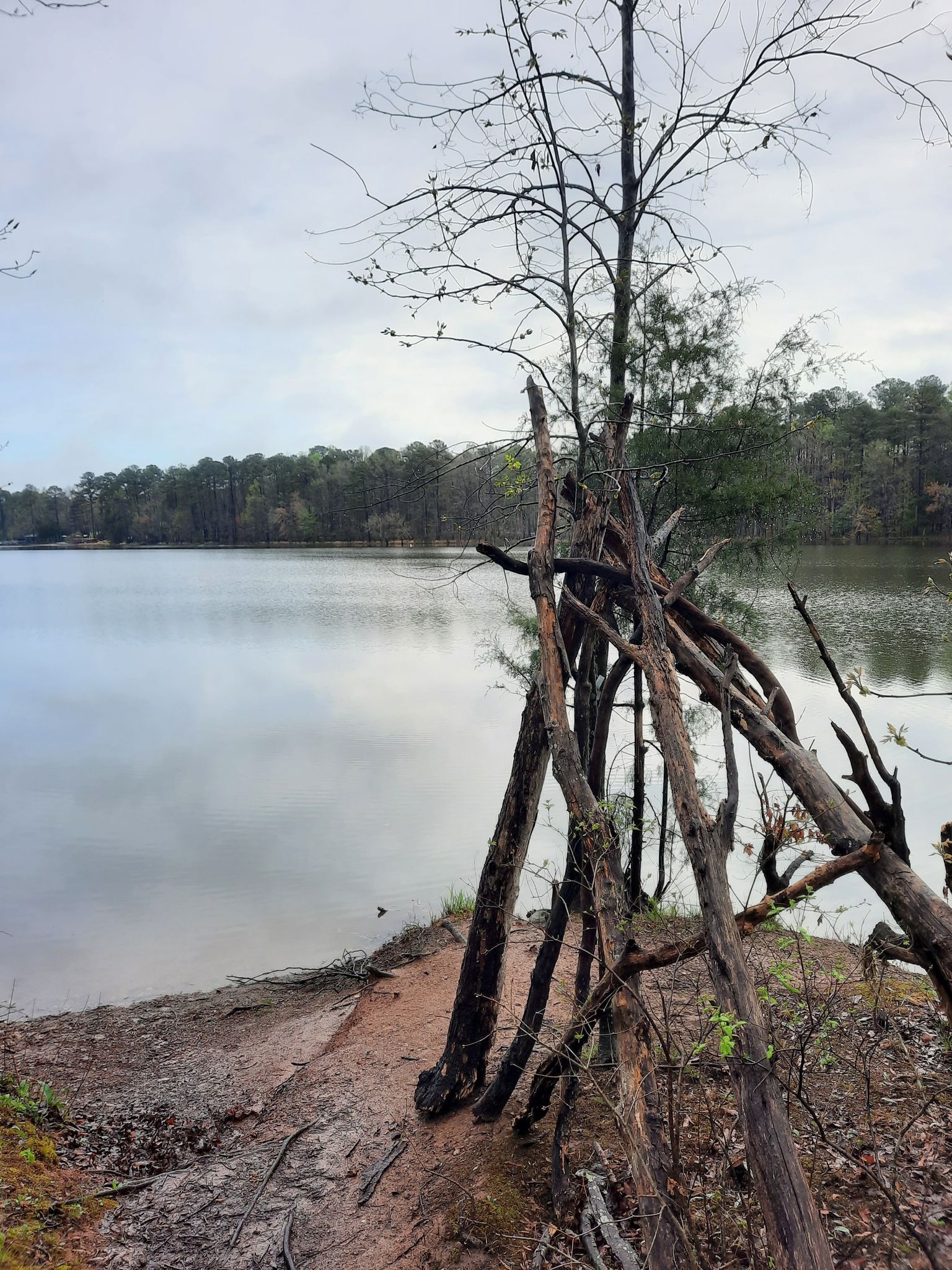 A stick structure stands on a muddy lake shore under an overcast sky. - Bond Park Lake Trail