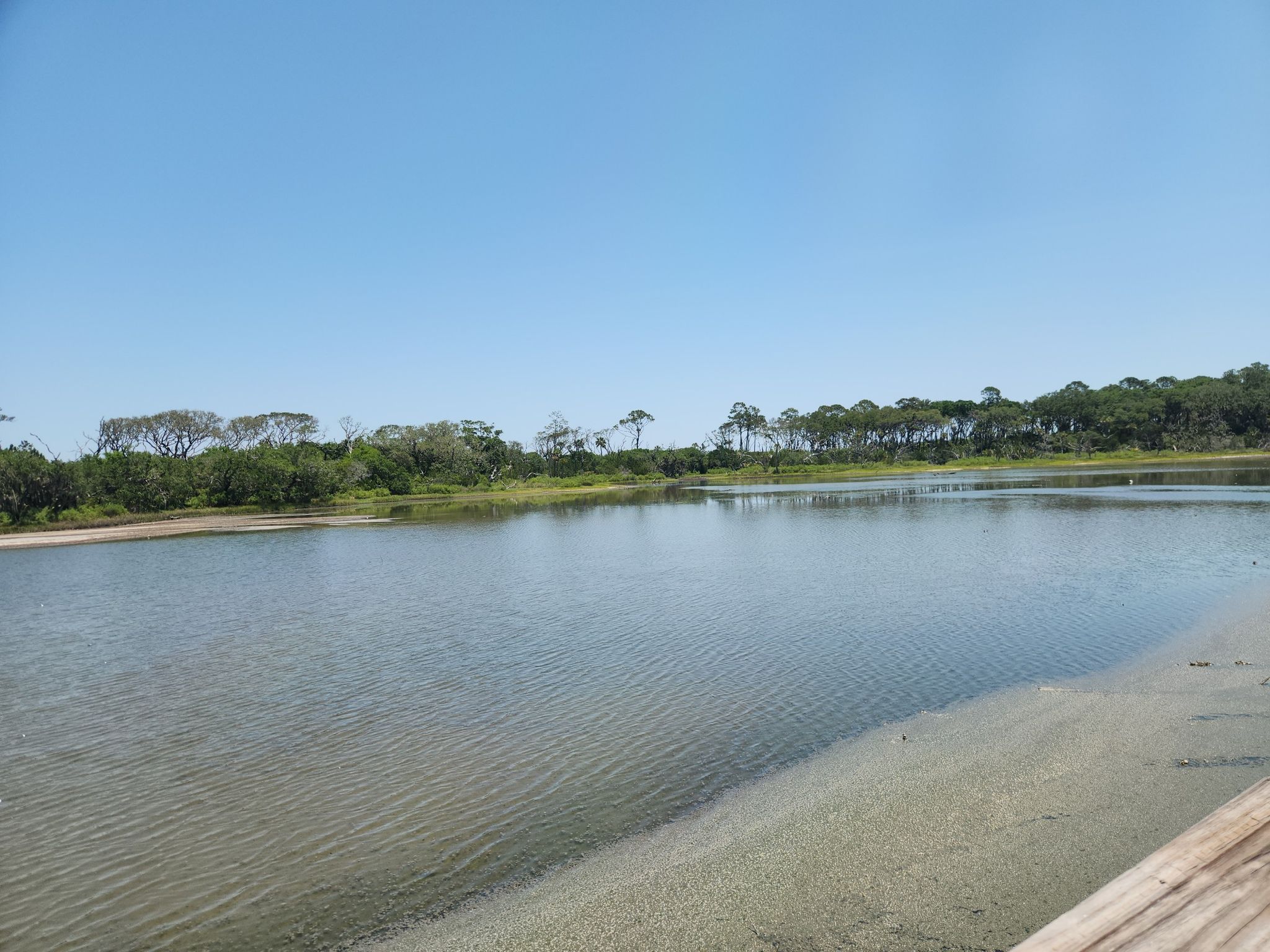 Wide river with sandy banks and distant trees under a clear blue sky. - East Coast Greenway: Amelia Island