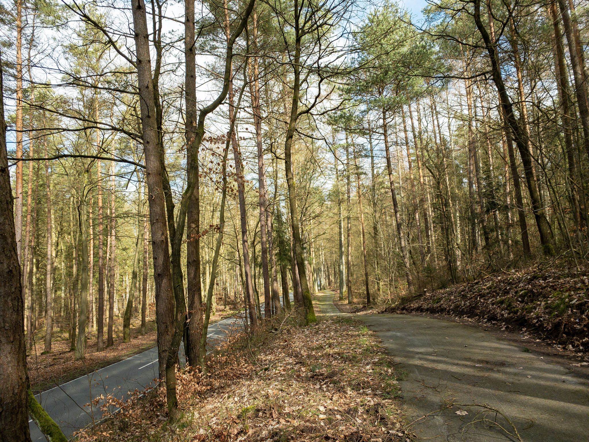Radweg an der Kreisstraße (II)