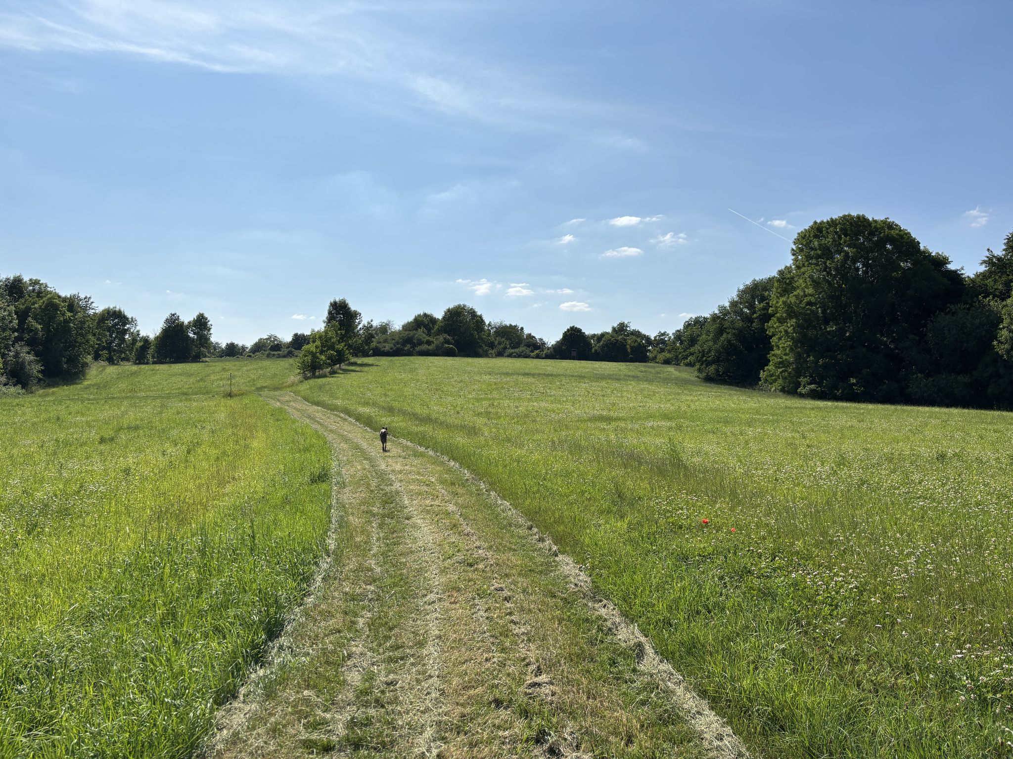 La colline du Hérapel