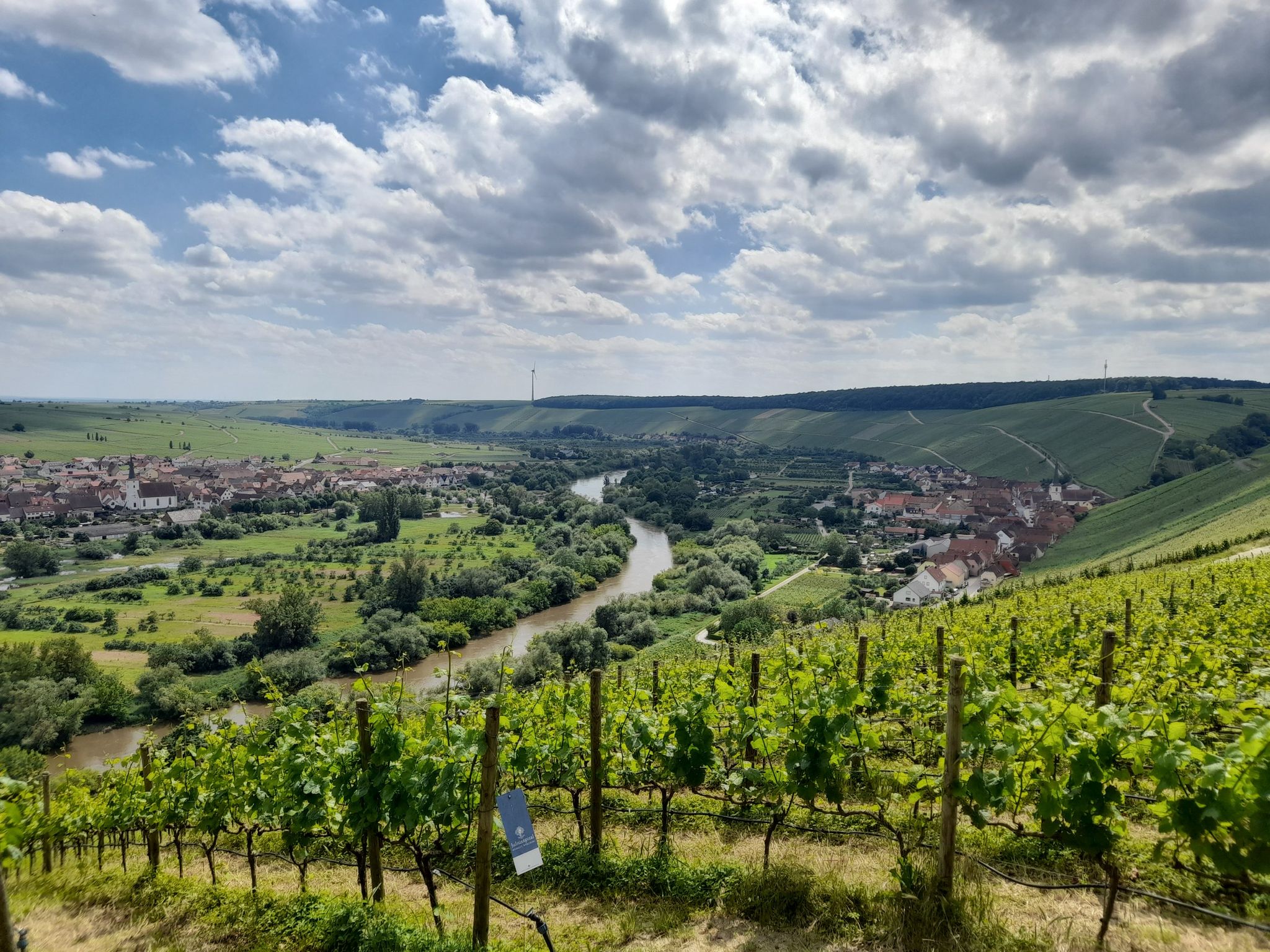 Mainweinblicke