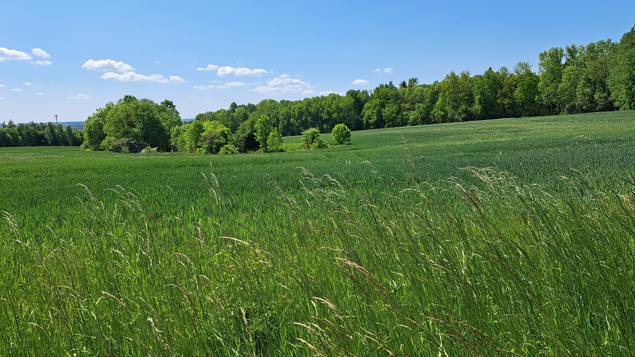 schöne Landschaft