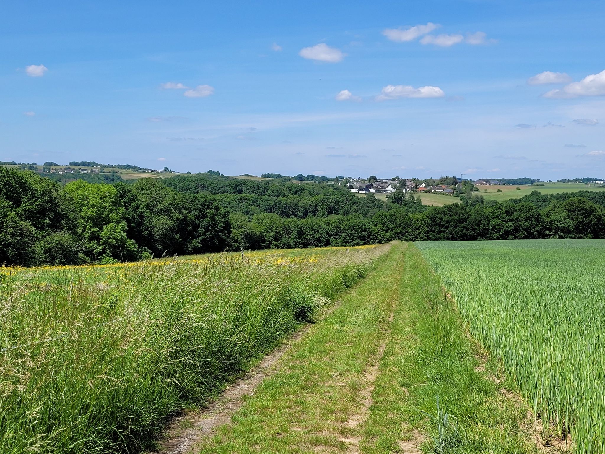 Blick zurück - im Hintergrund Neustädter Ortsteile jenseits der Wied: geradeaus Bühlingen, links Ehrenberg