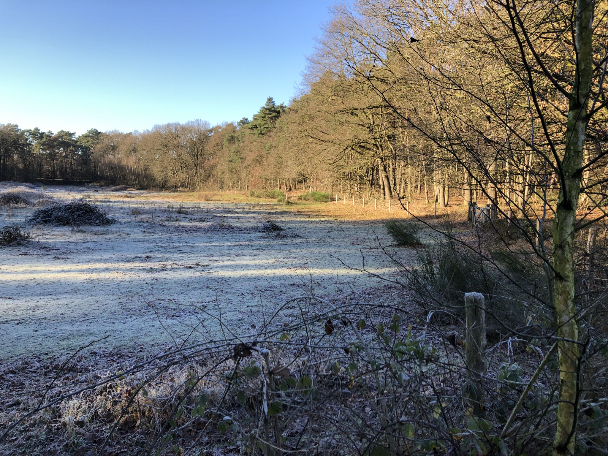 Open veld op 't Sweeltje, Montfort
