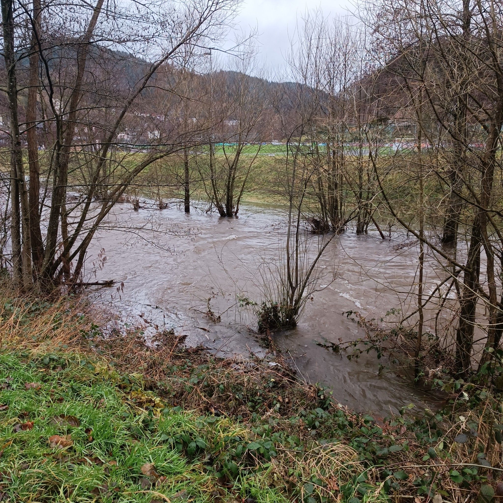 viel Wasser heute