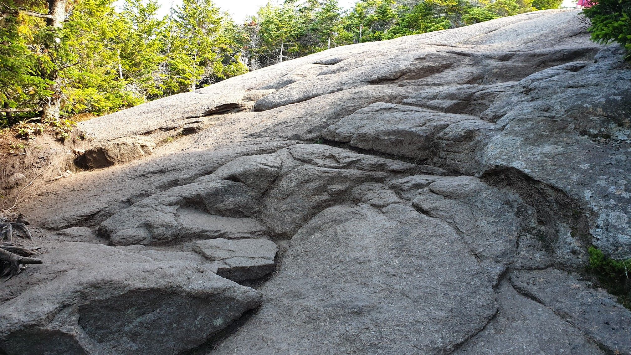 Steep, smooth gray rock slab on a sunny forest incline. - Cascade Mountain Trail
