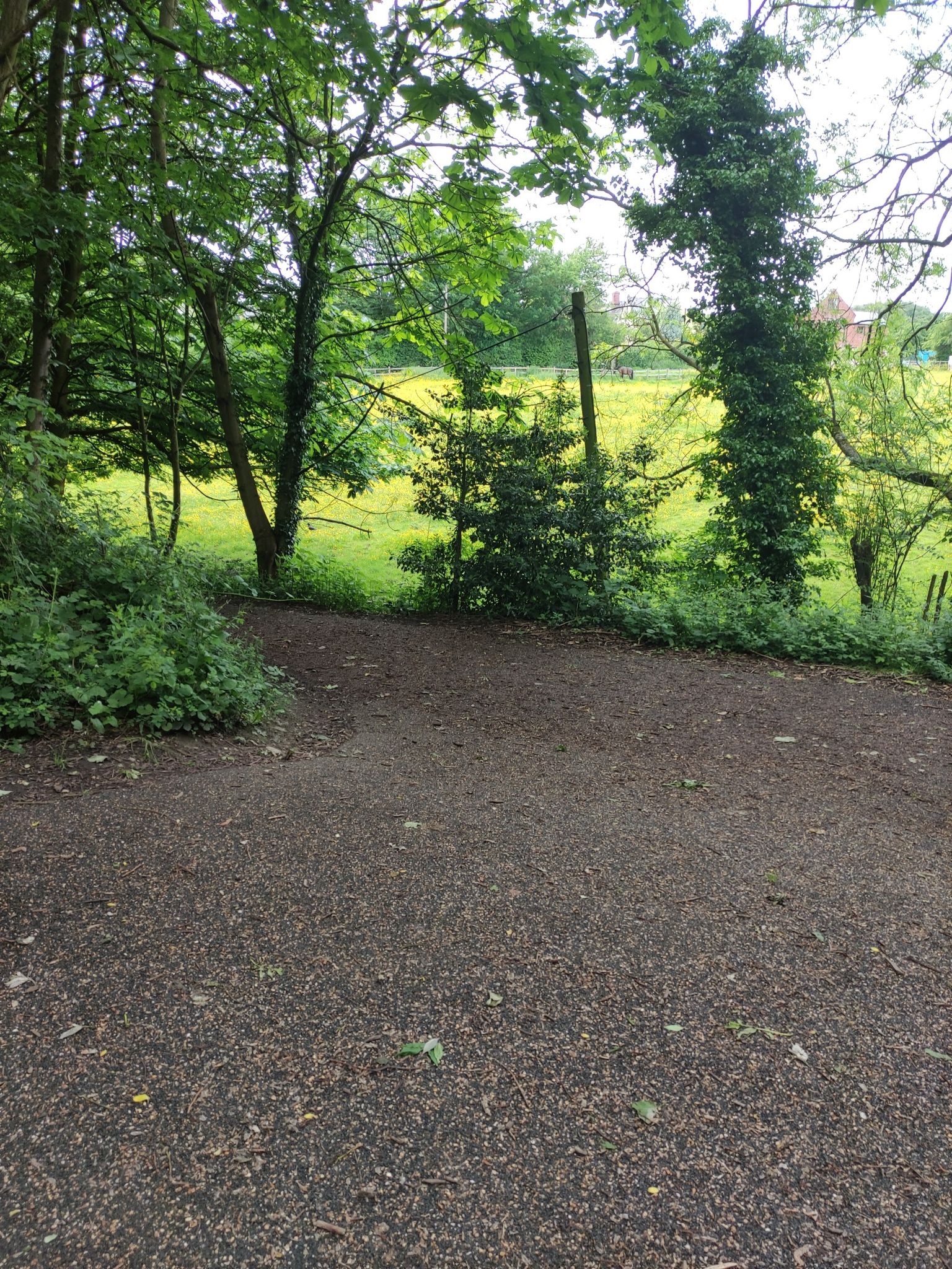 Path to leave trail