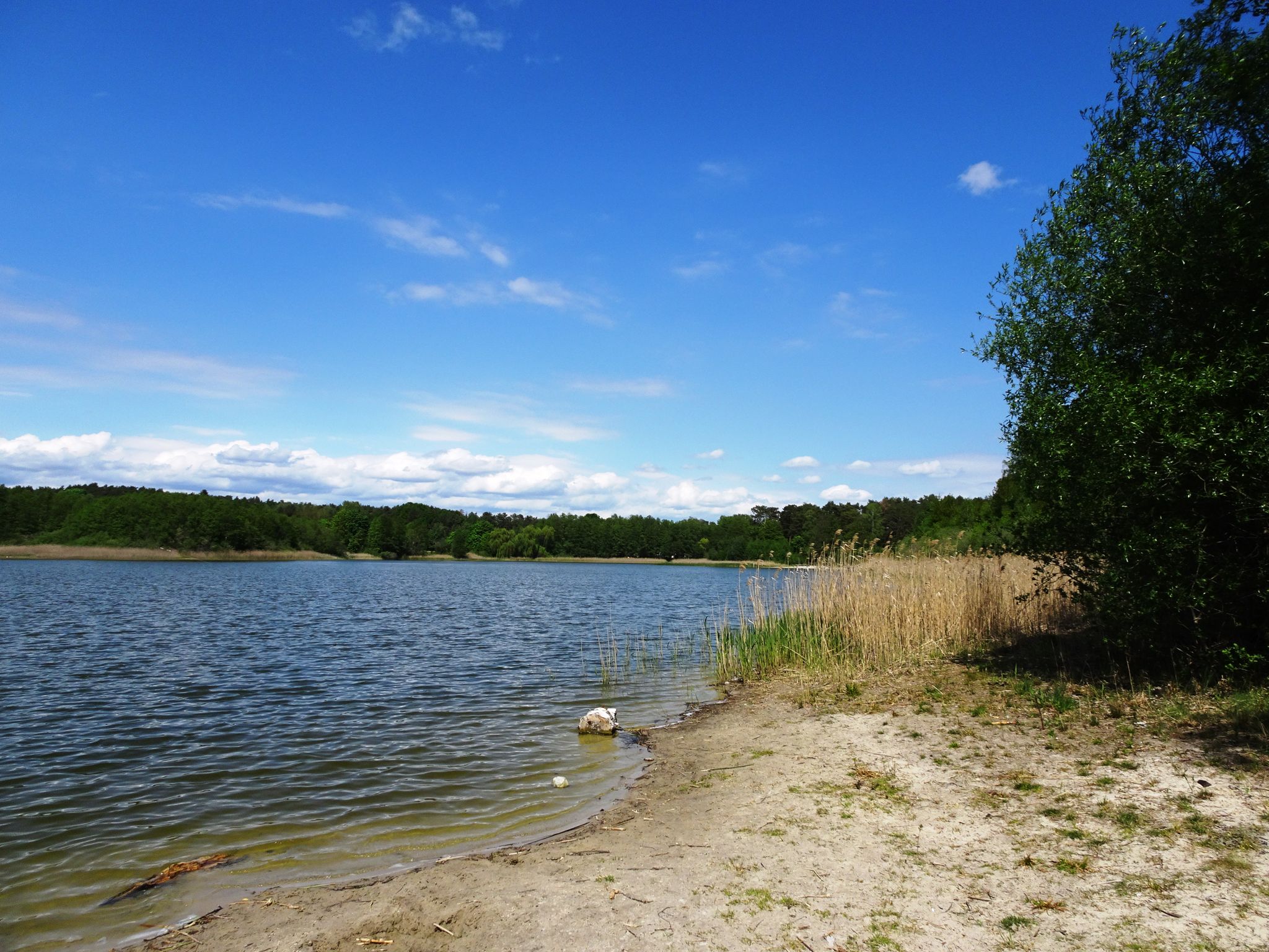 Petersdorfer See