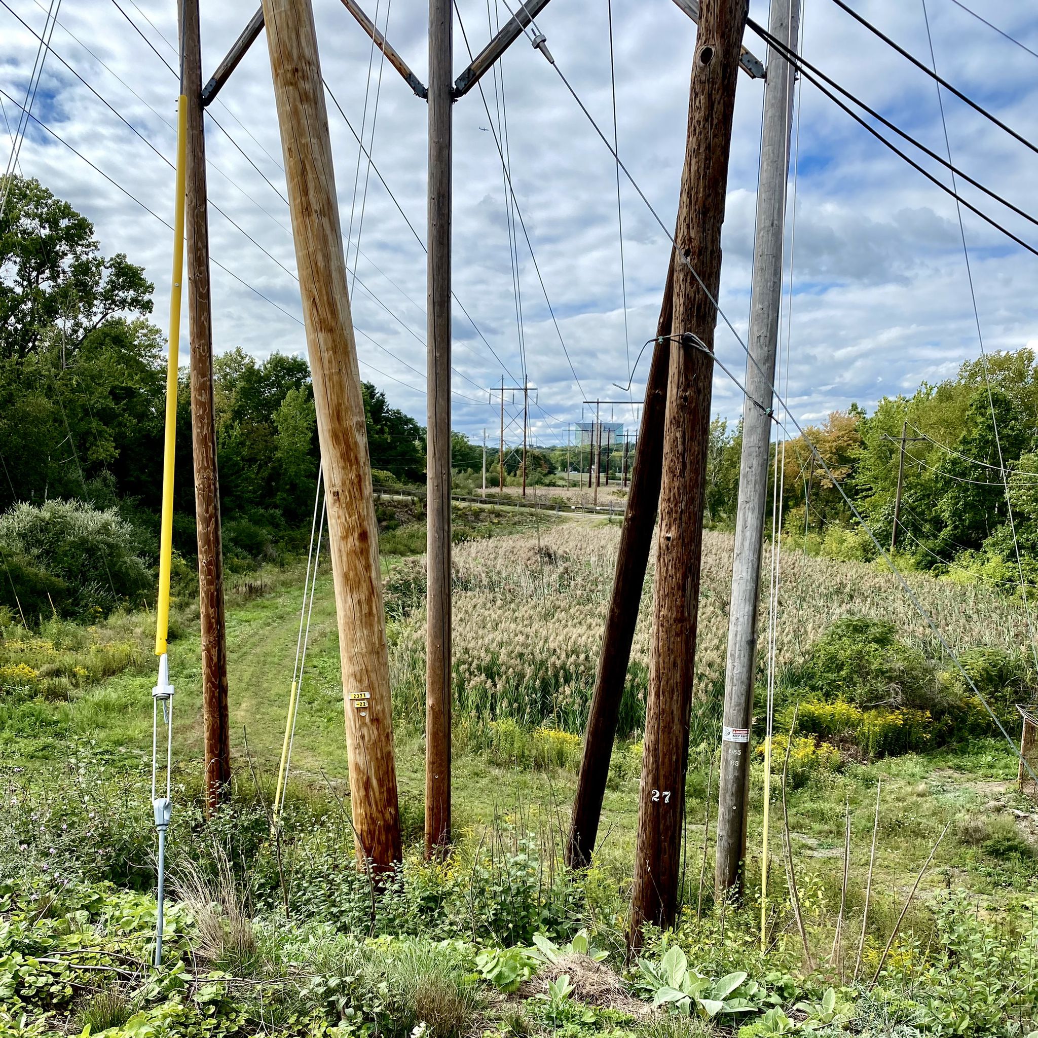 Multiple utility poles standing in a field of tall dry grass under a cloudy sky. - Border to Boston Trail - Trailhead loop from Danvers