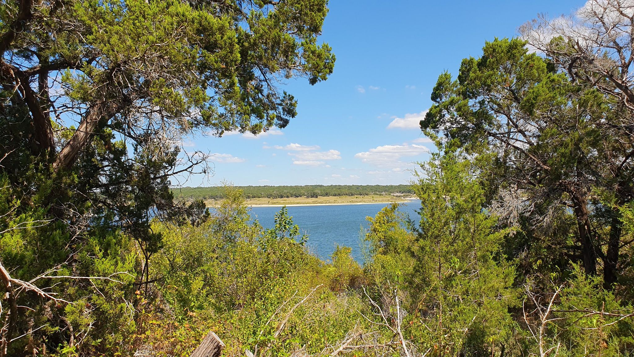 Bright daylight view of a blue lake framed by green trees. - Good Water Trail to Lake Georgetown