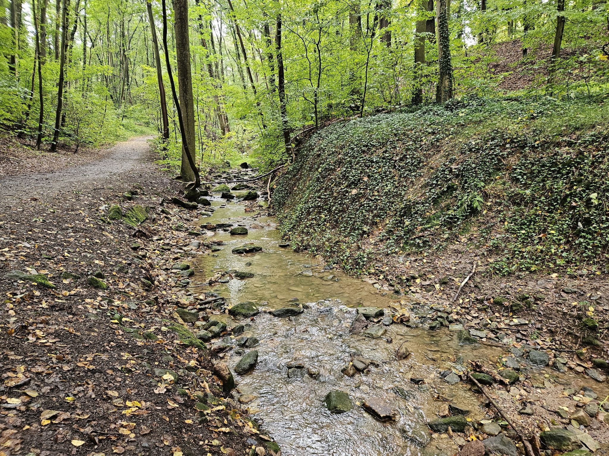 Nöthnitzbachtal