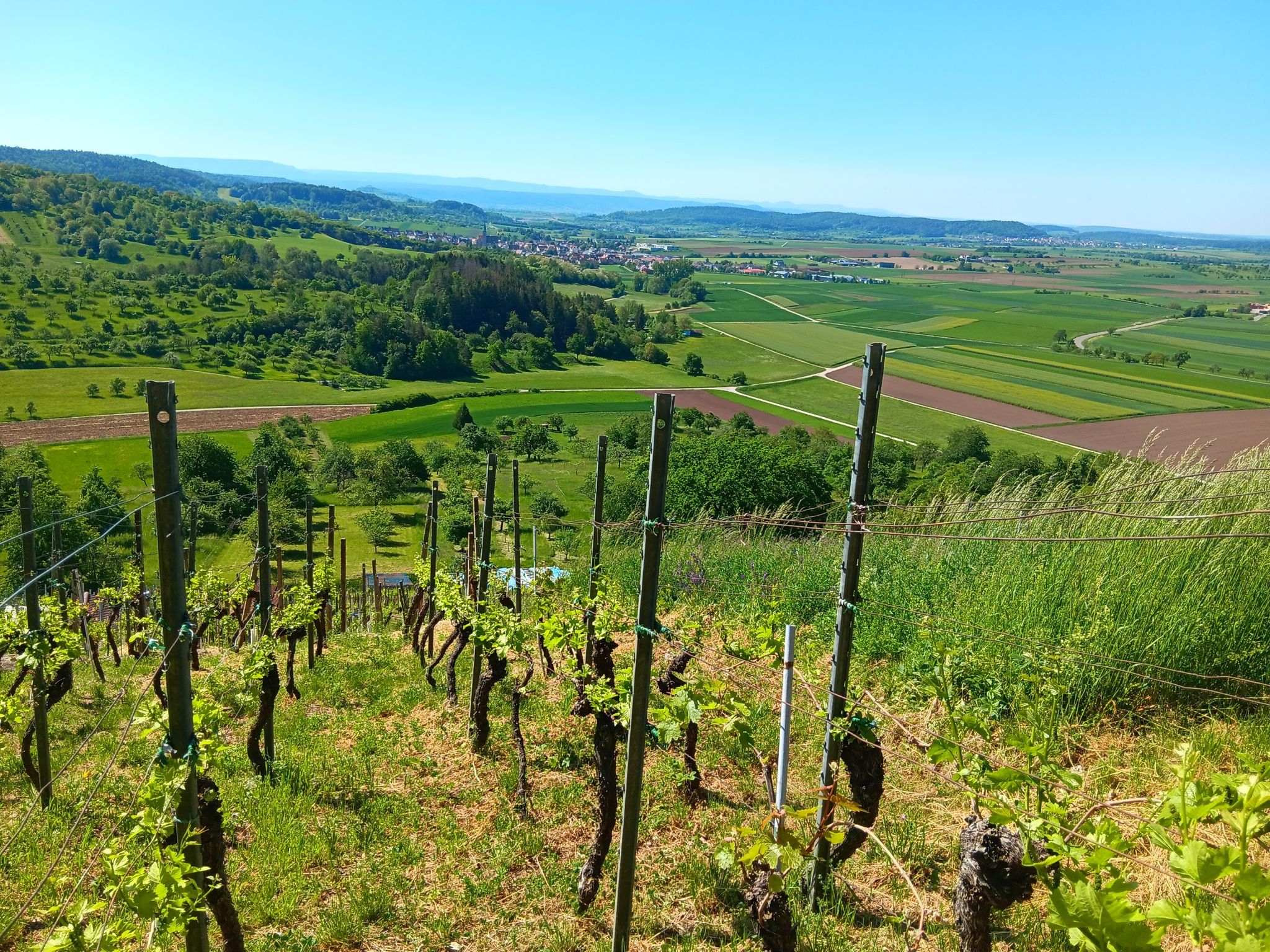 Blick nach Entringen