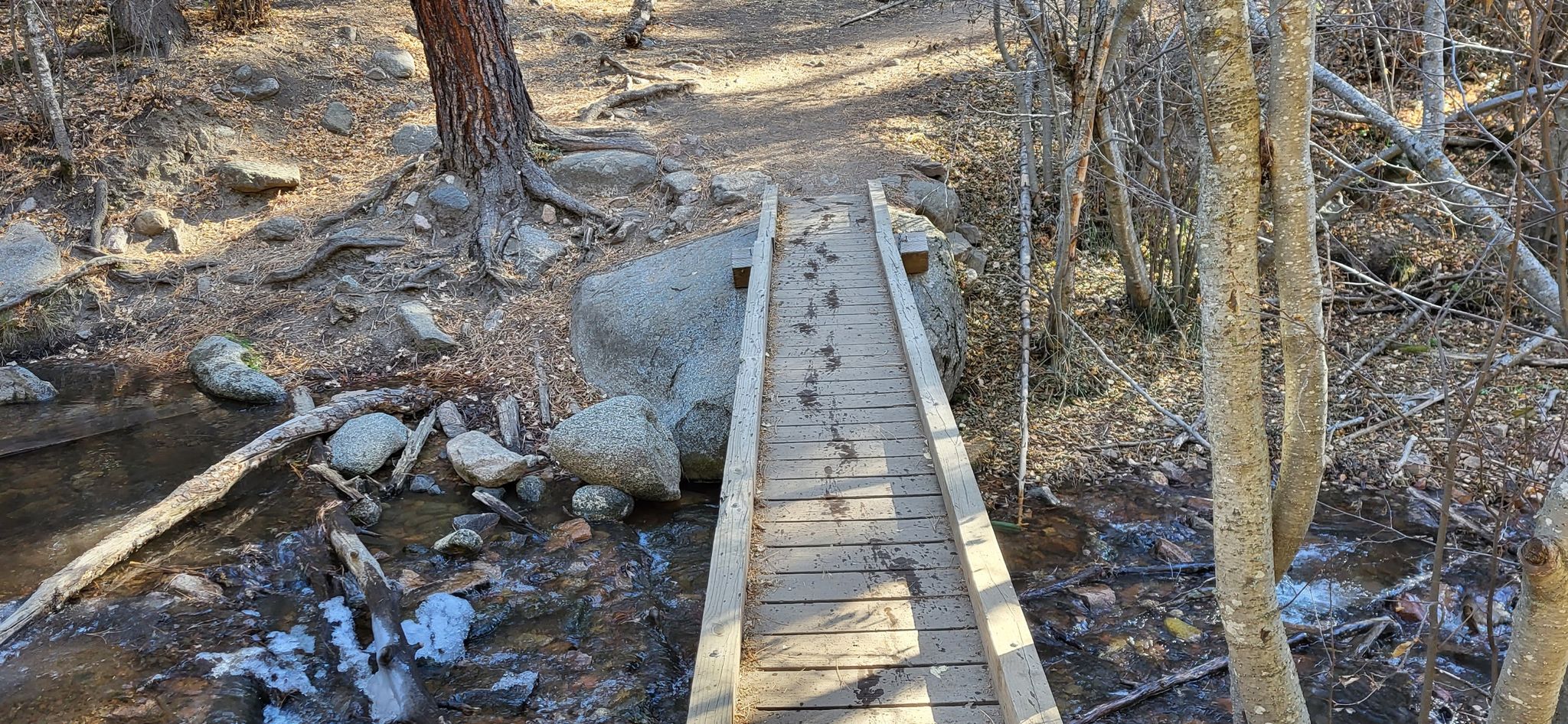 Footprints mark a wooden bridge crossing a partially frozen stream in a sunny forest. - Borrego (150), Windsor (254) and Bear Wallow (182) Trail Loop