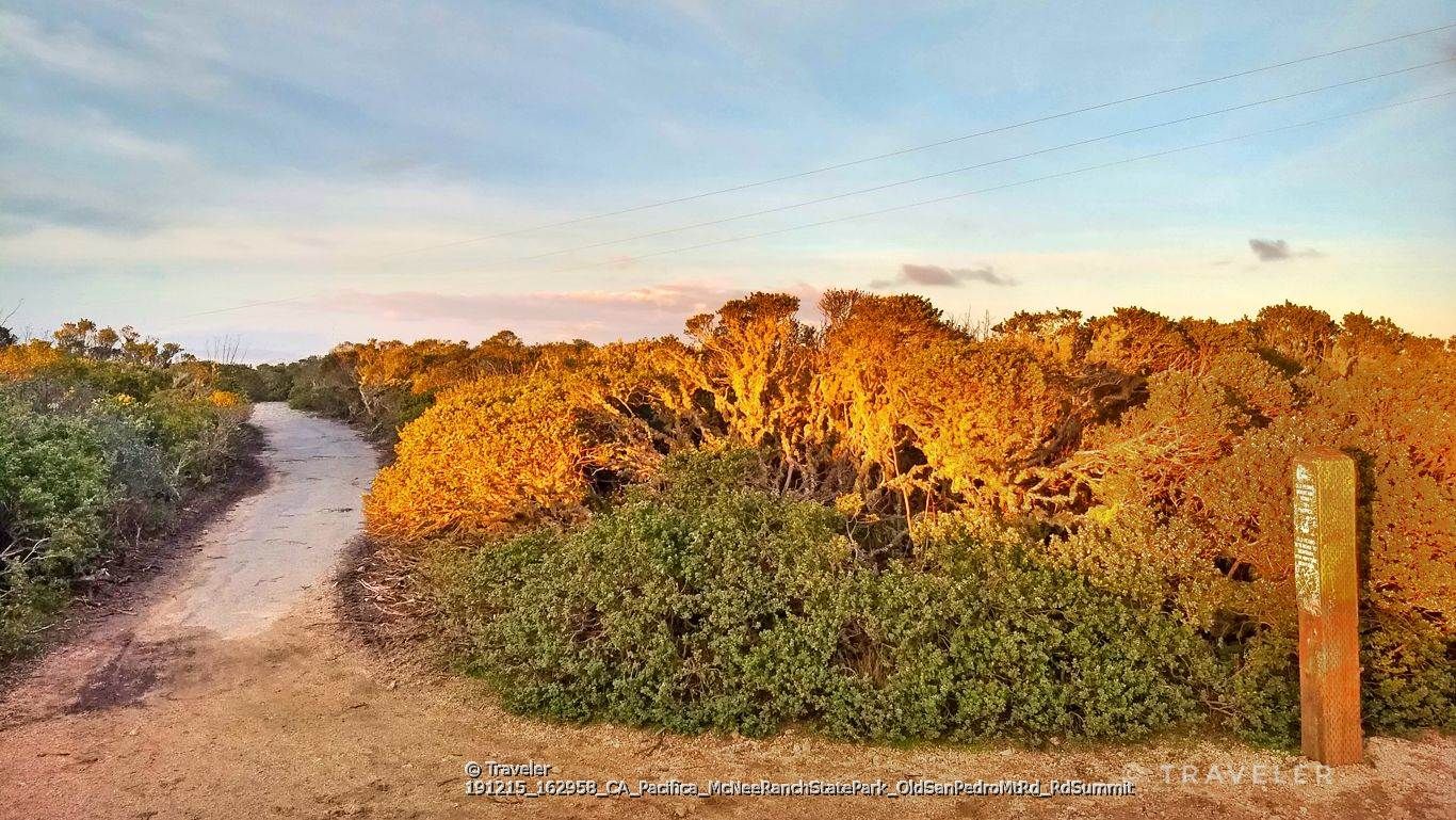 Dirt path splits through sunlit coastal bushes under a colorful sky. - Bike loop from Pacifica