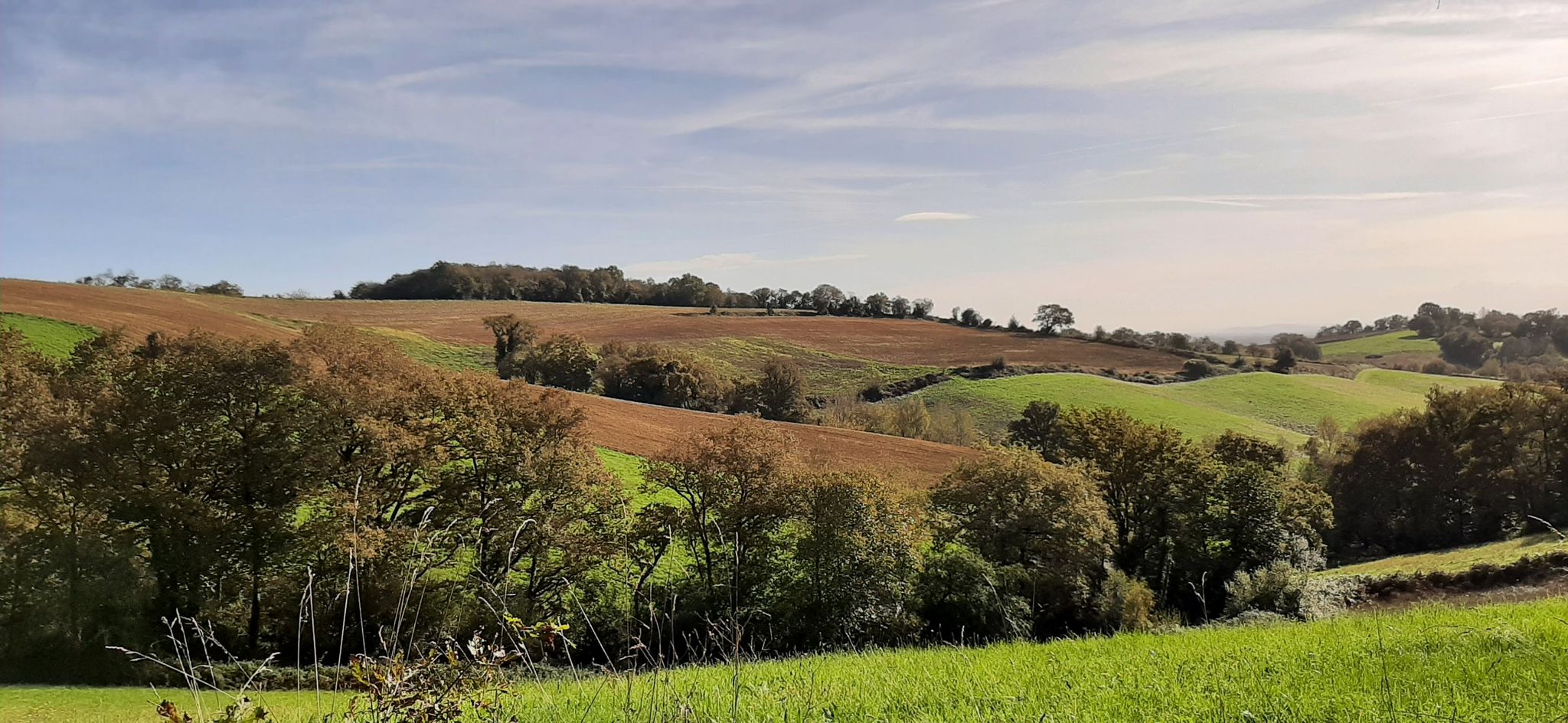 Côteau de Beyrie en Béarn