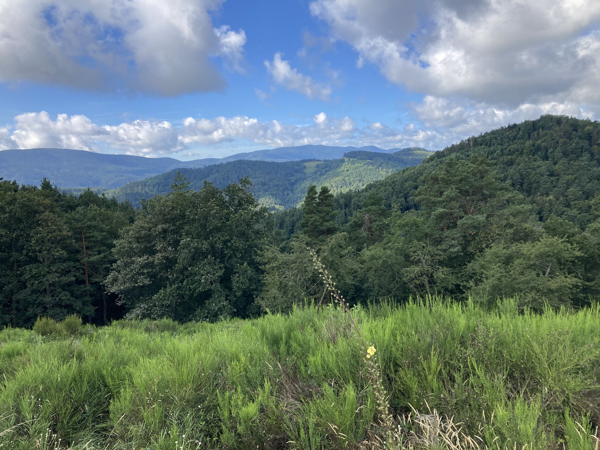 Blick nach dem Col de Fouchy