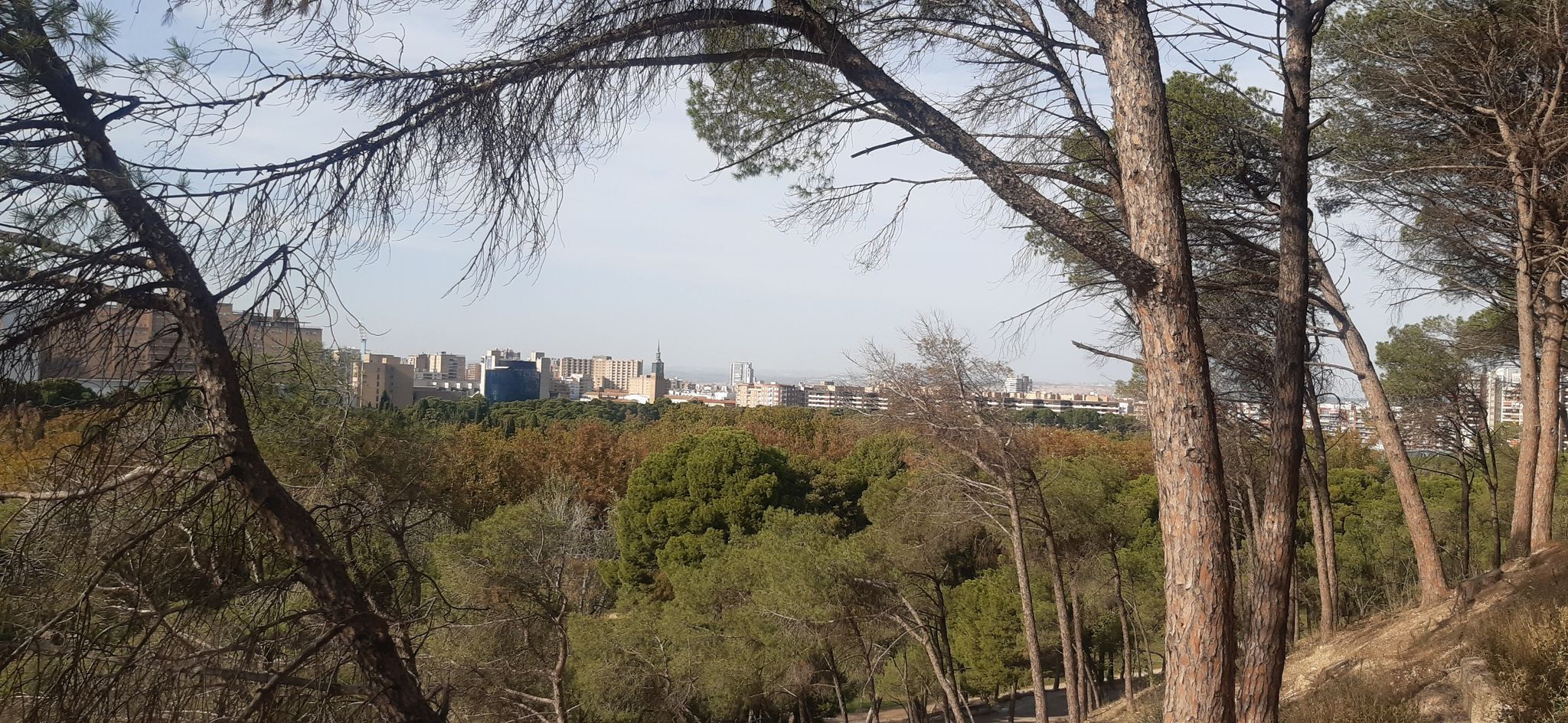 Blick über Saragossa