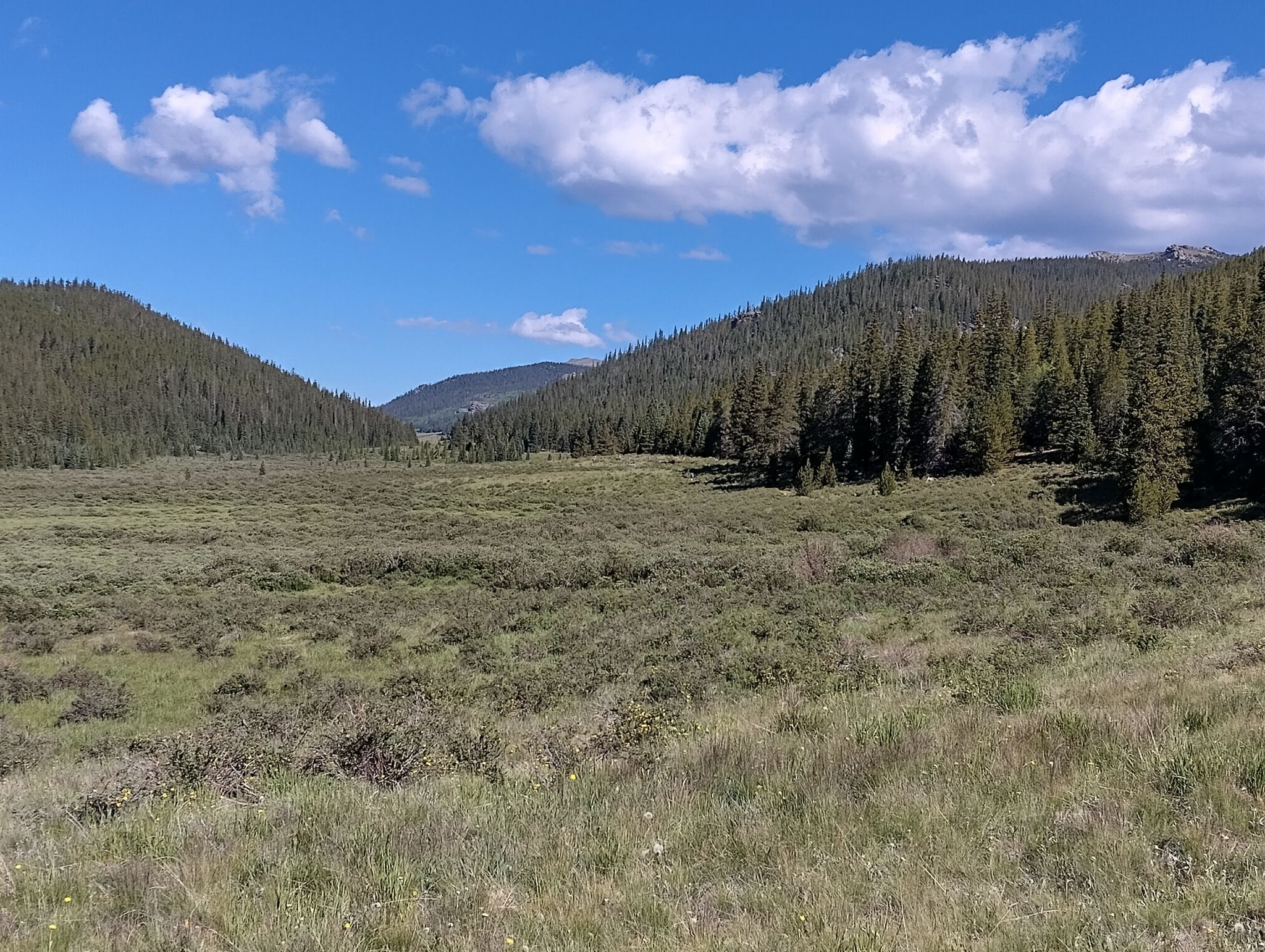 A vast green valley stretches between forested mountains under a bright sky. - Brookside-McCurdy Trail