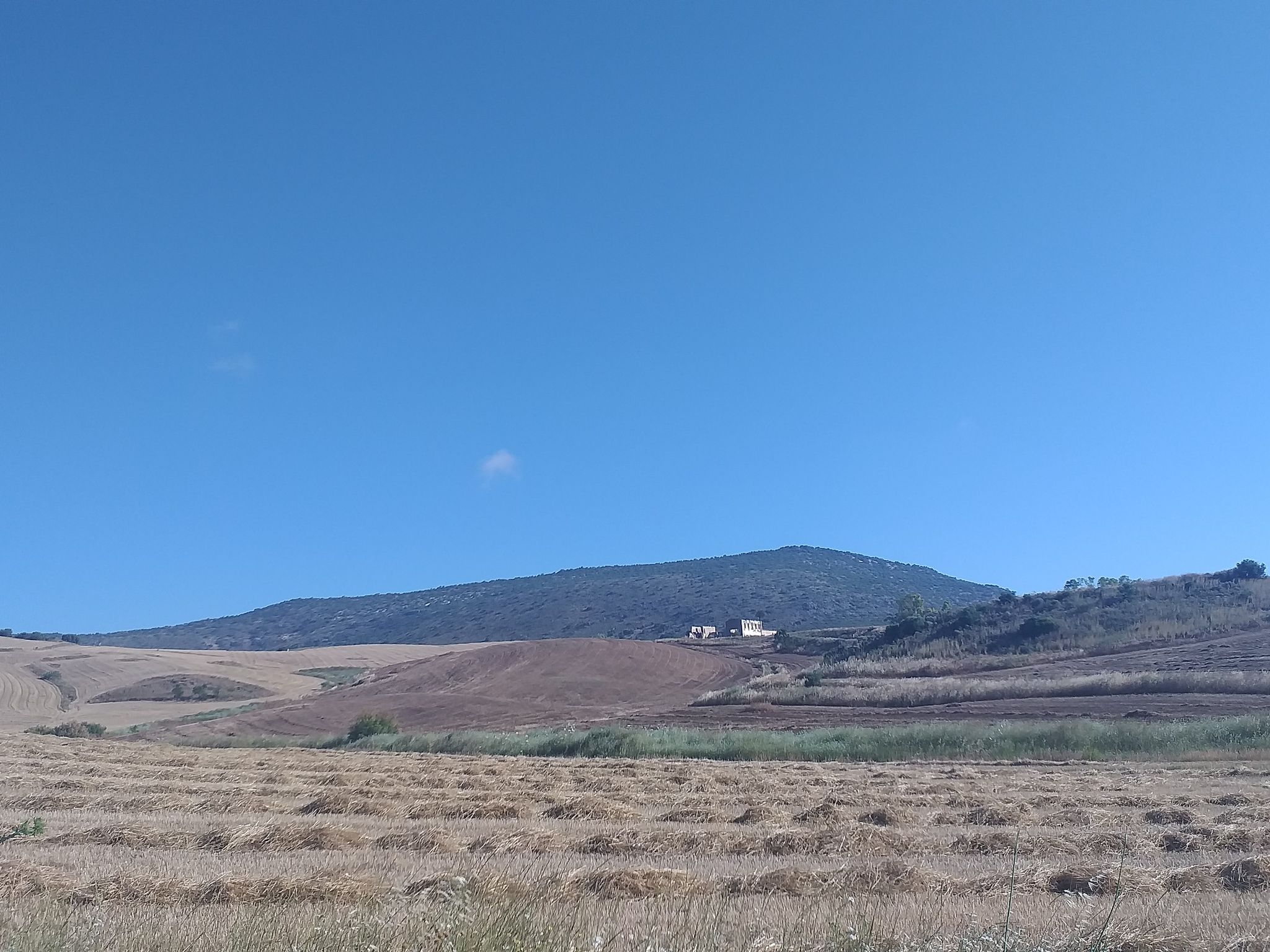 naturaleza muerta