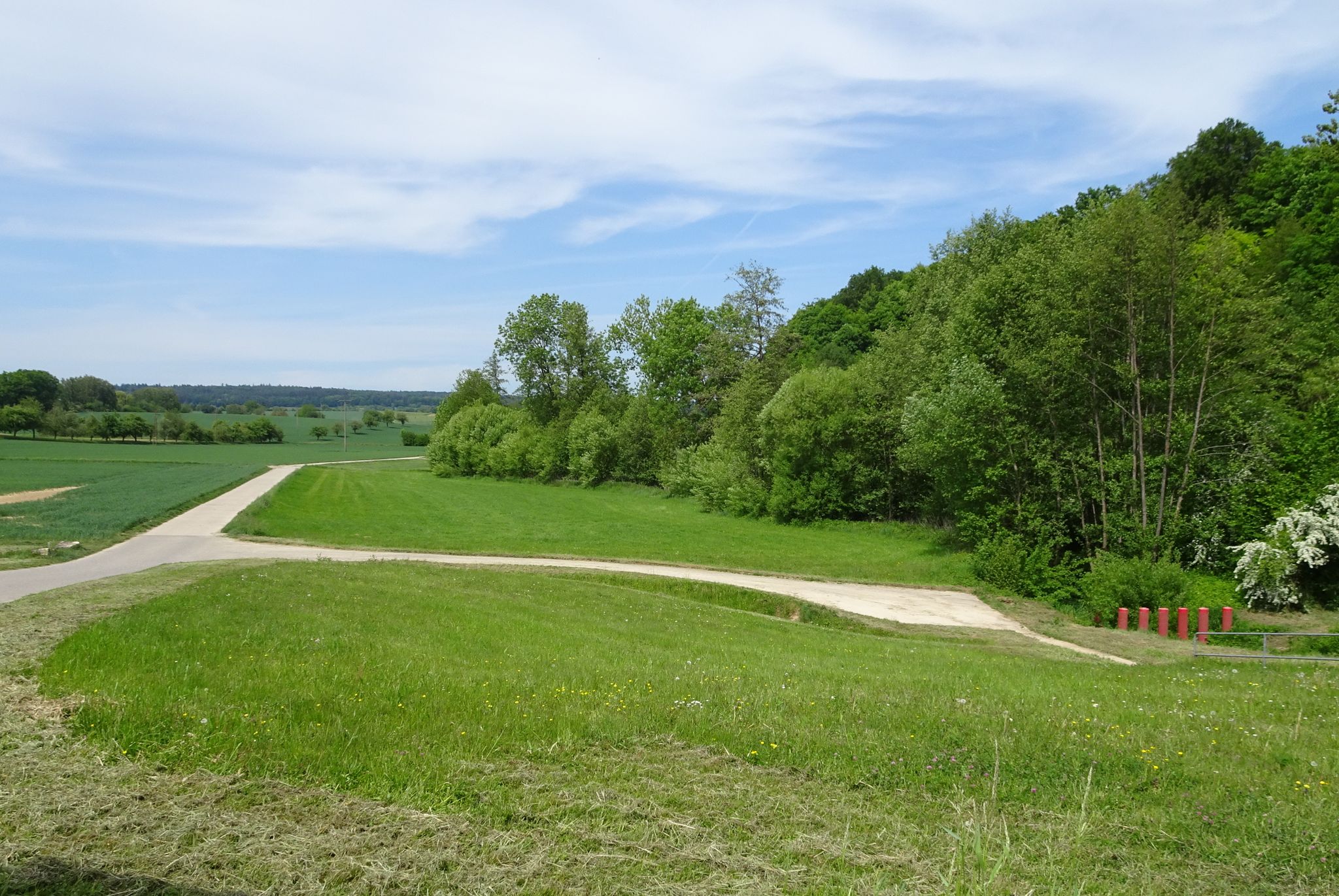 Rückhaltedamm am Schwarzbach
