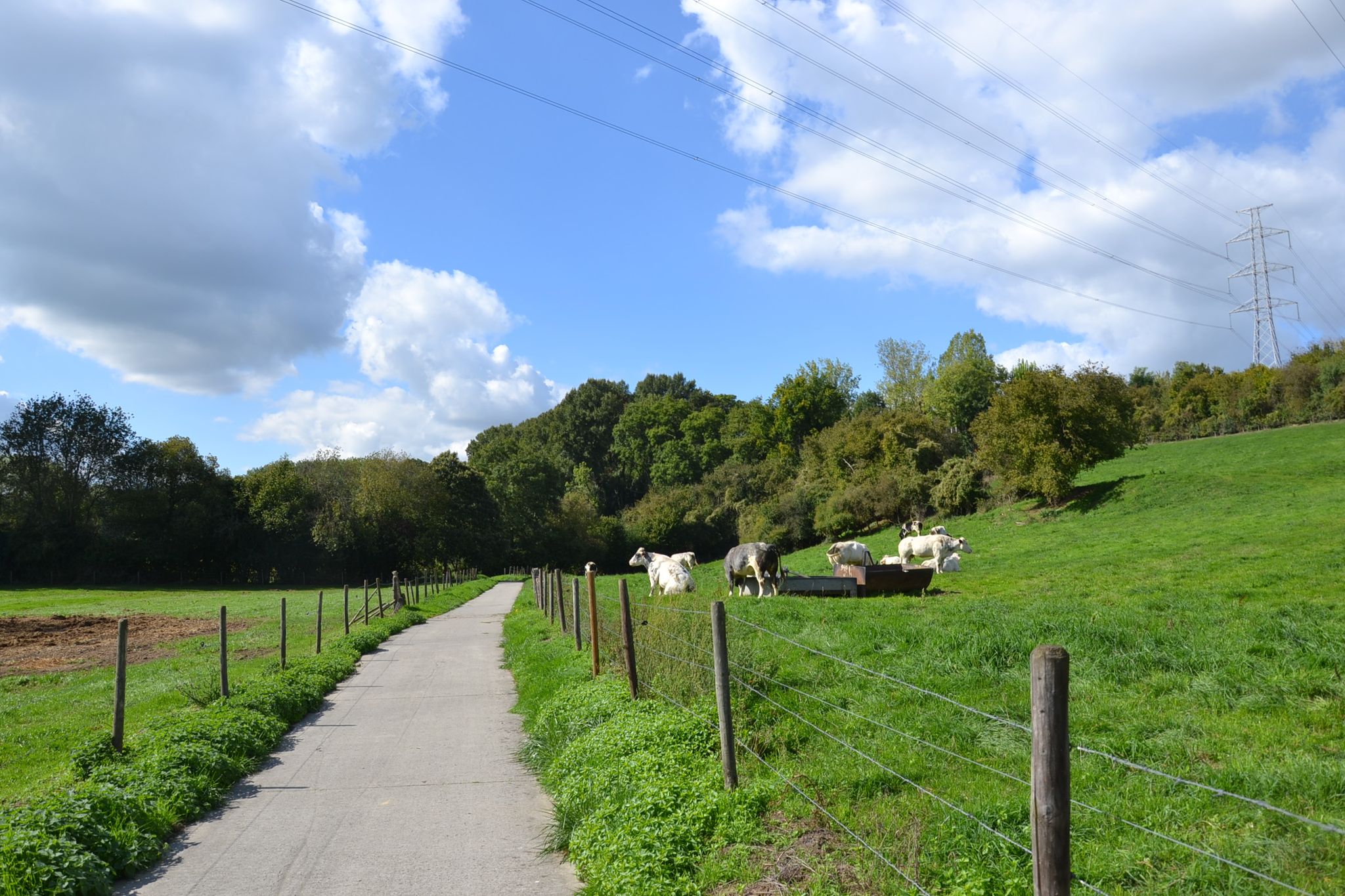vallei van de Jeker